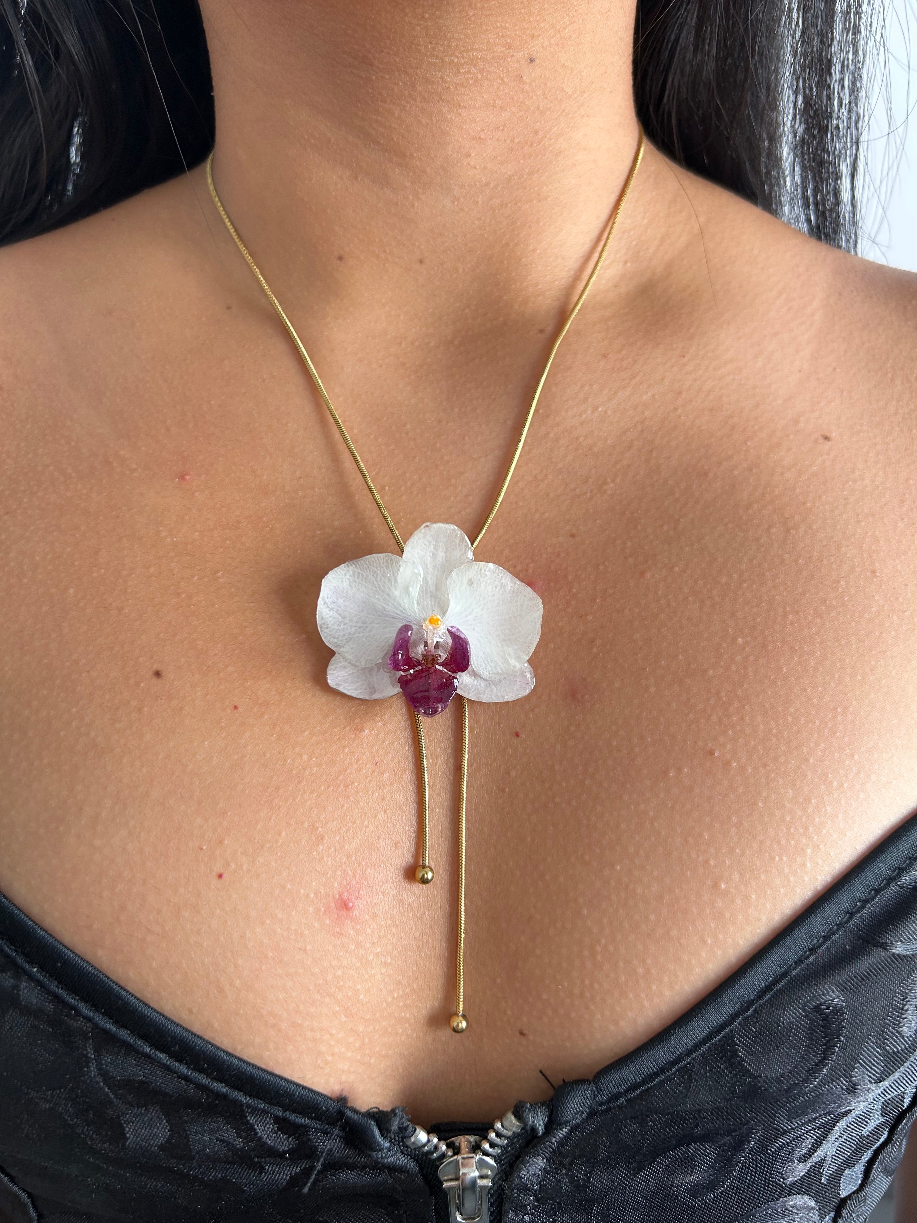 Orchid mini white