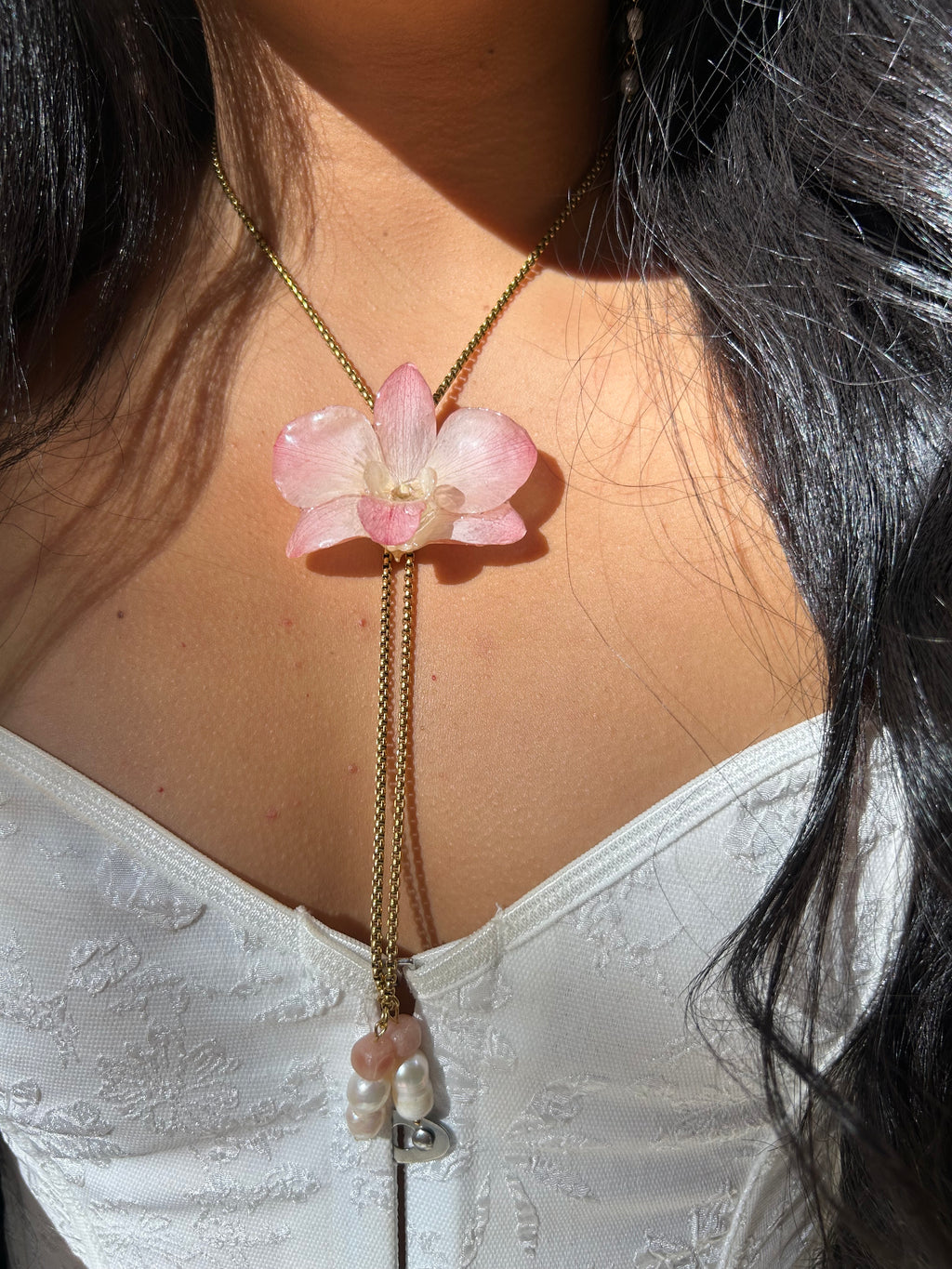 Orchid dendrobium real