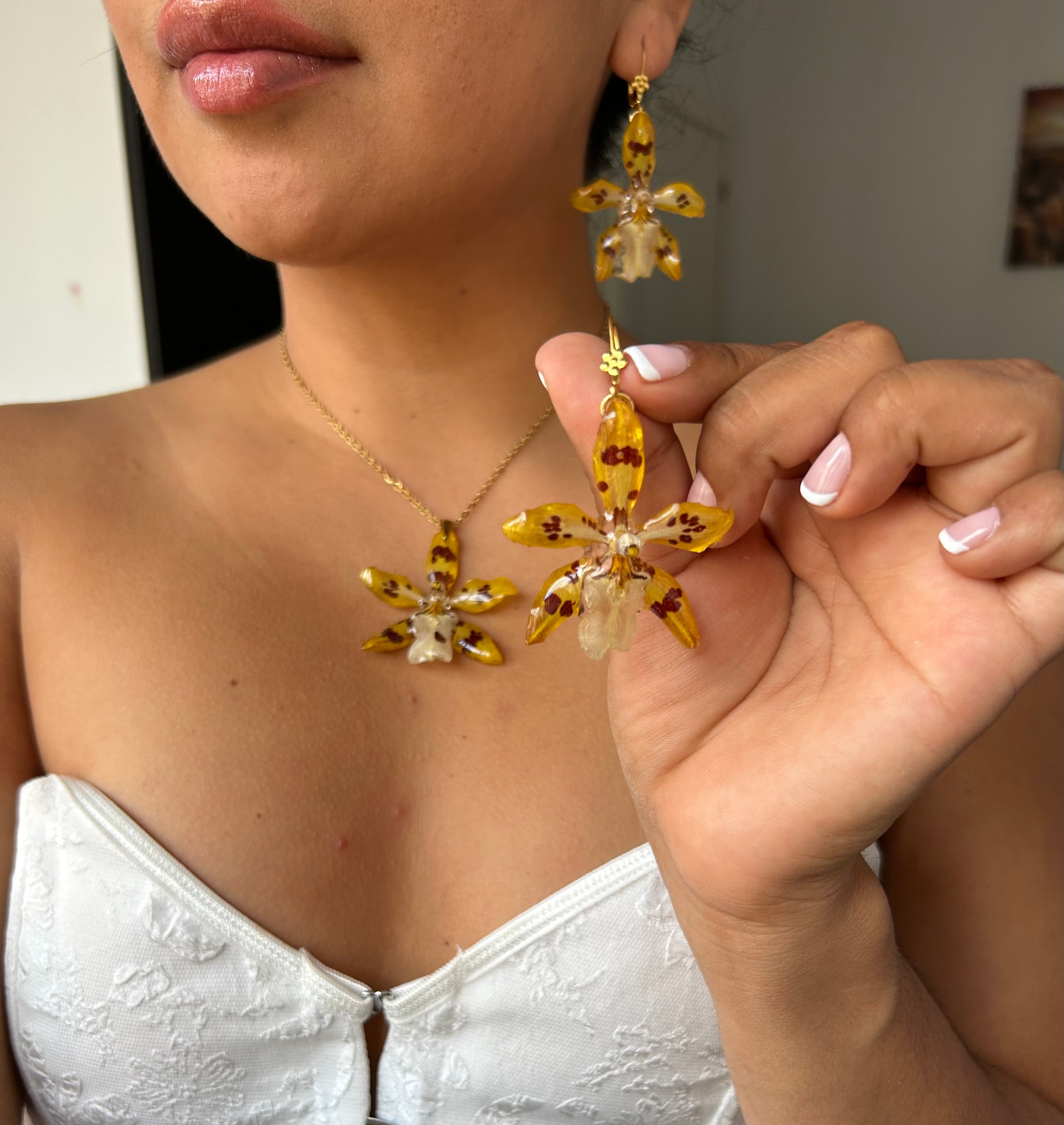 Conjunto de orquídeas exóticas