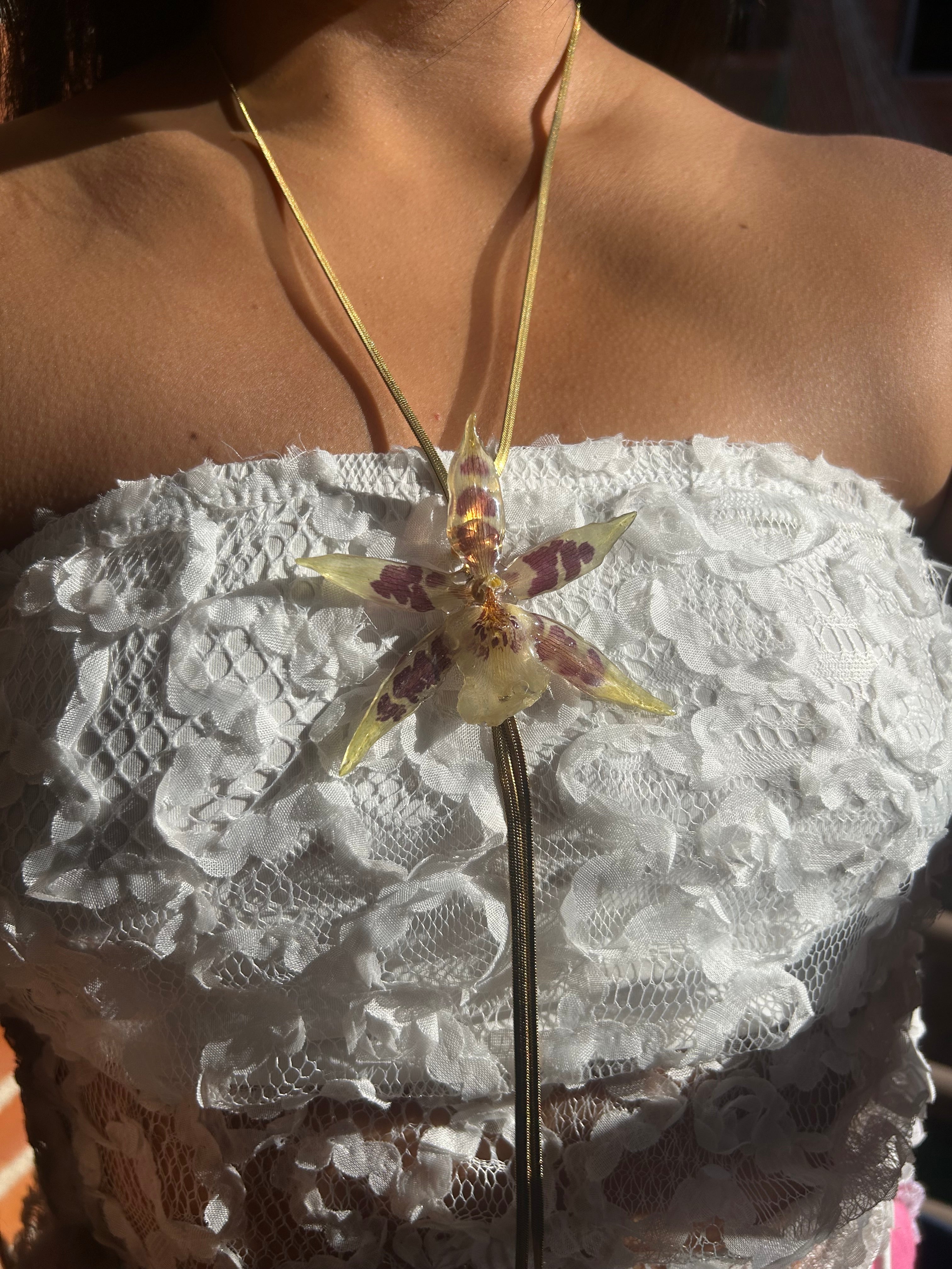 Orchid star