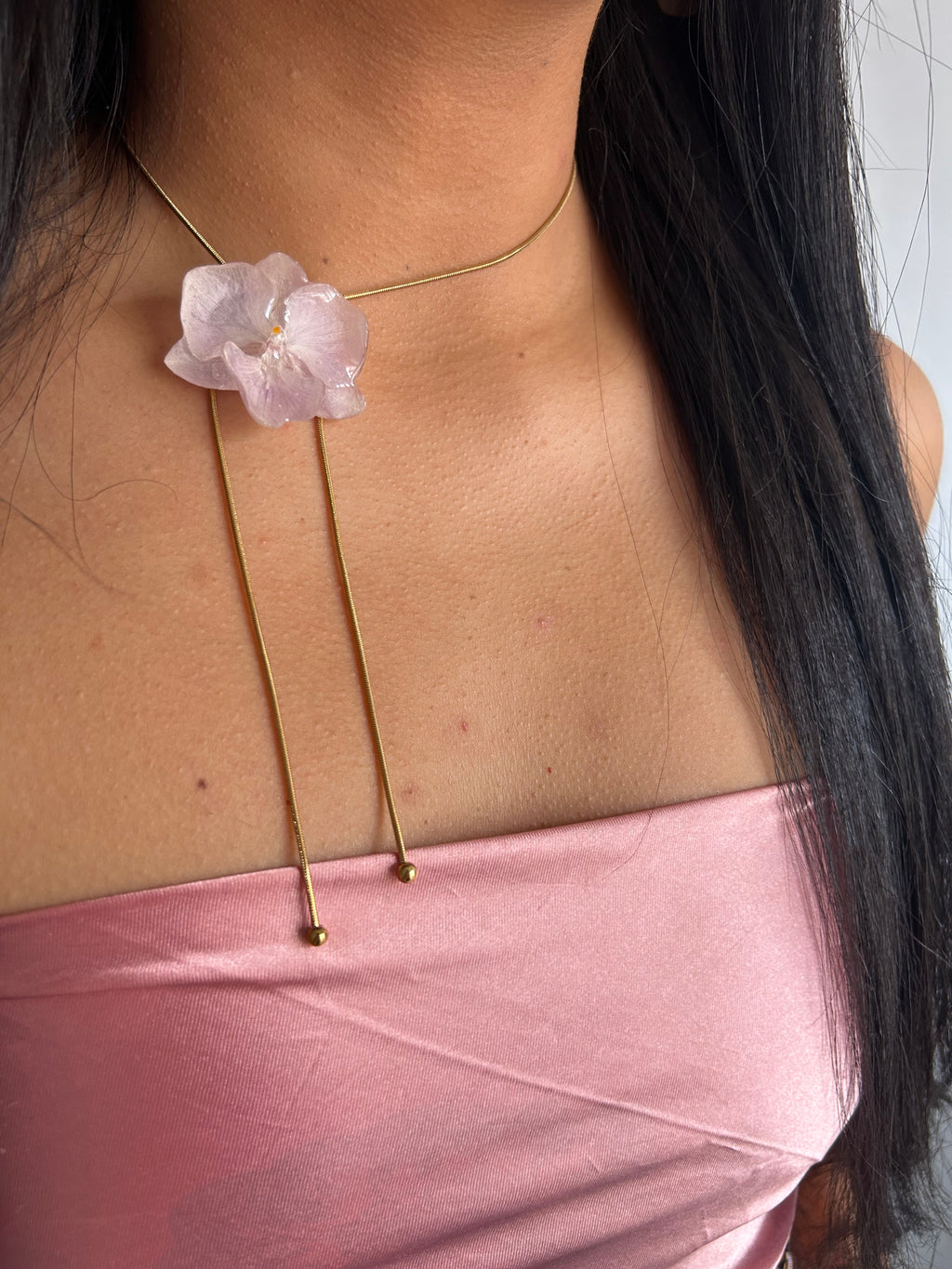 Orchid mini phalaenopsis