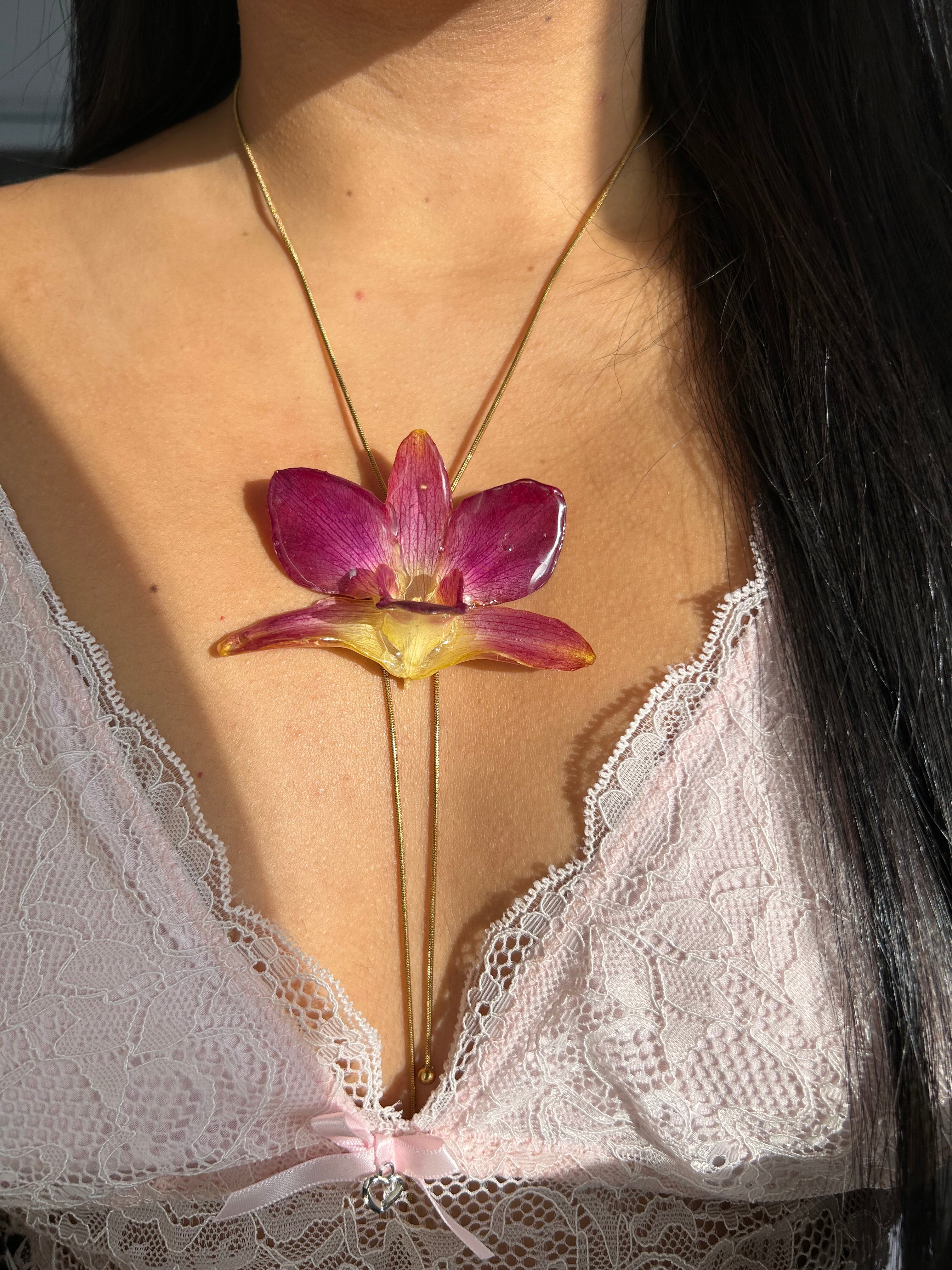 Orchid bello atardecer 2.0