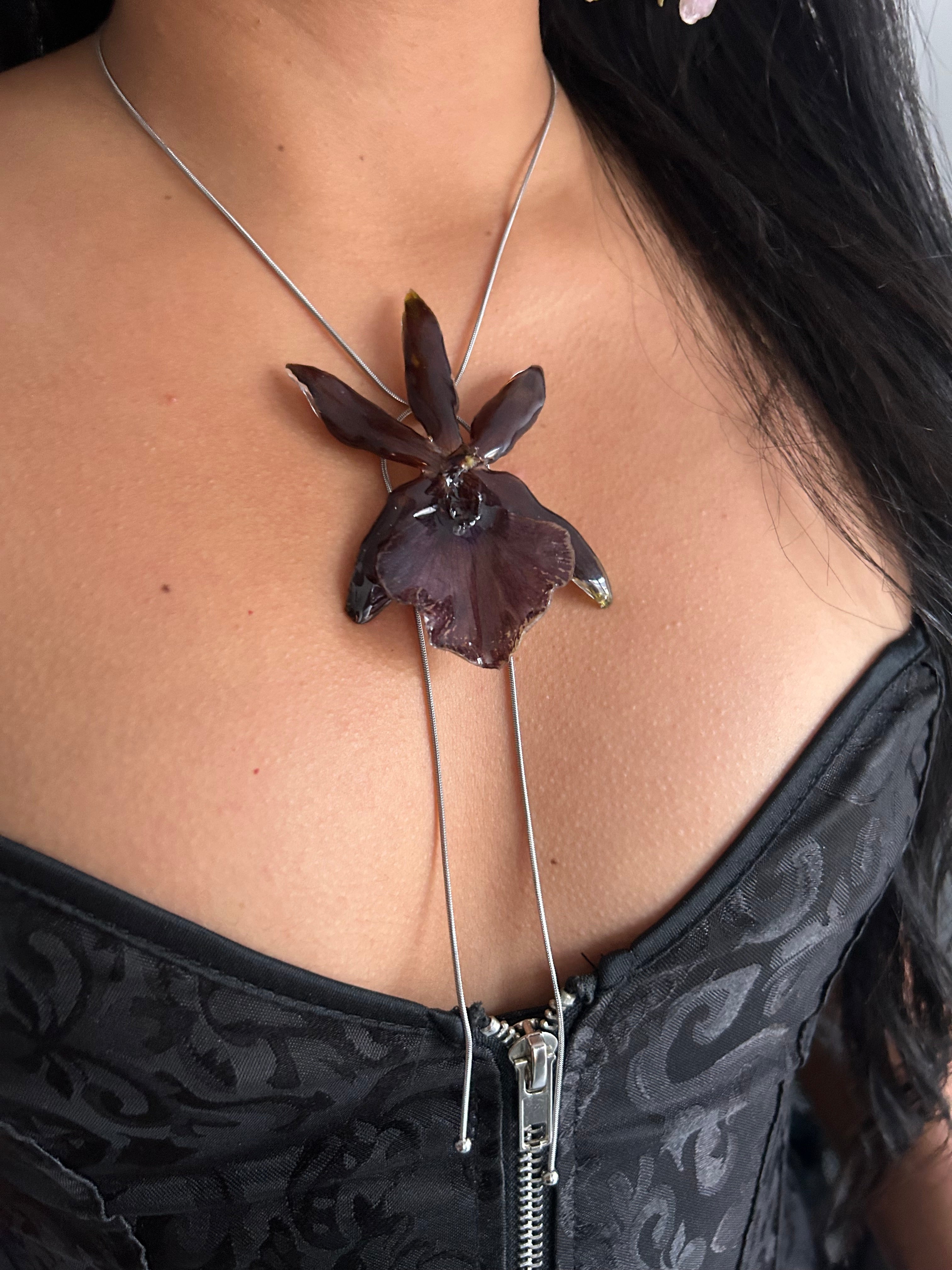Exotic Orchid Dark