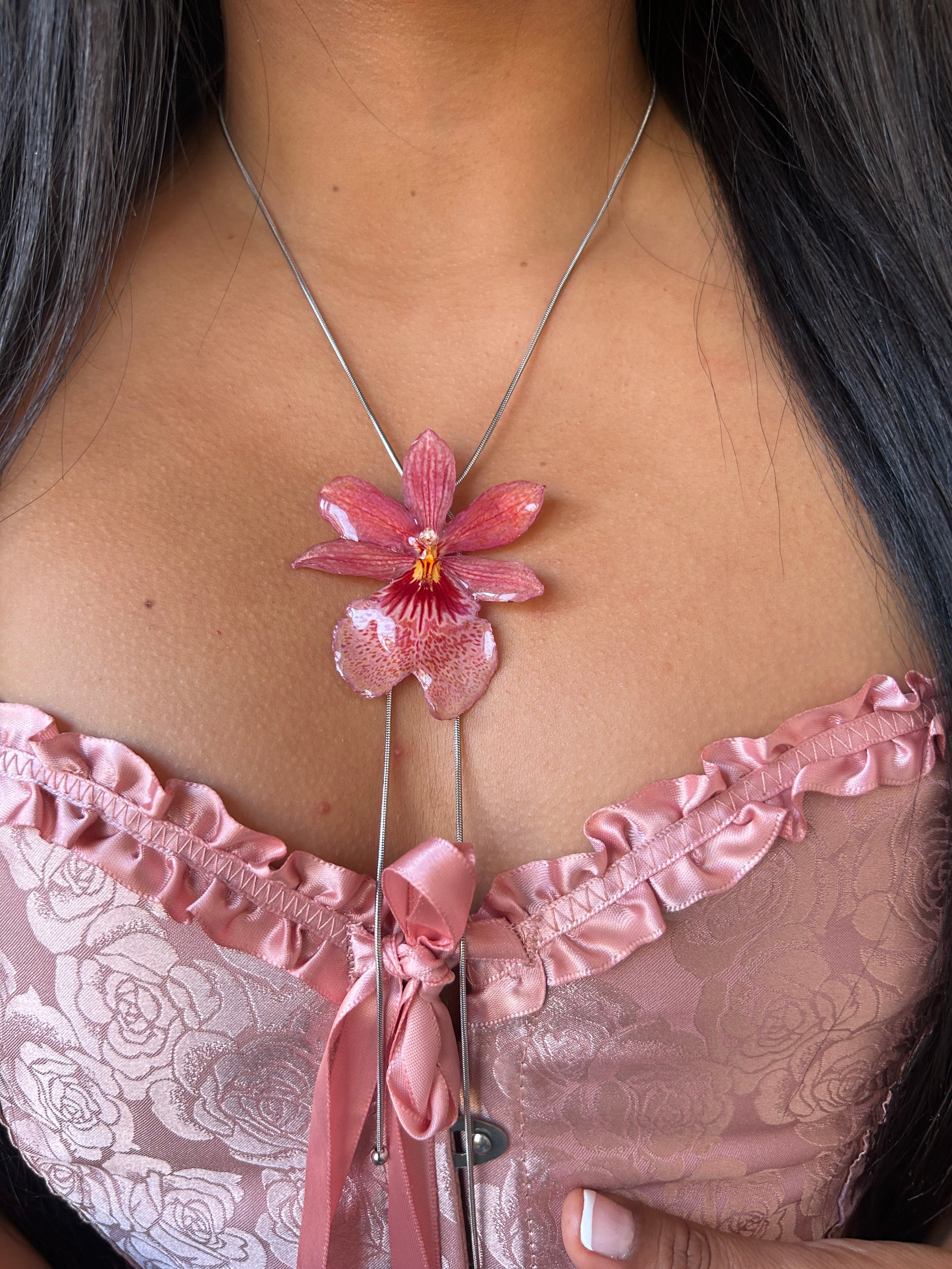 Orchid Nelly isler orange