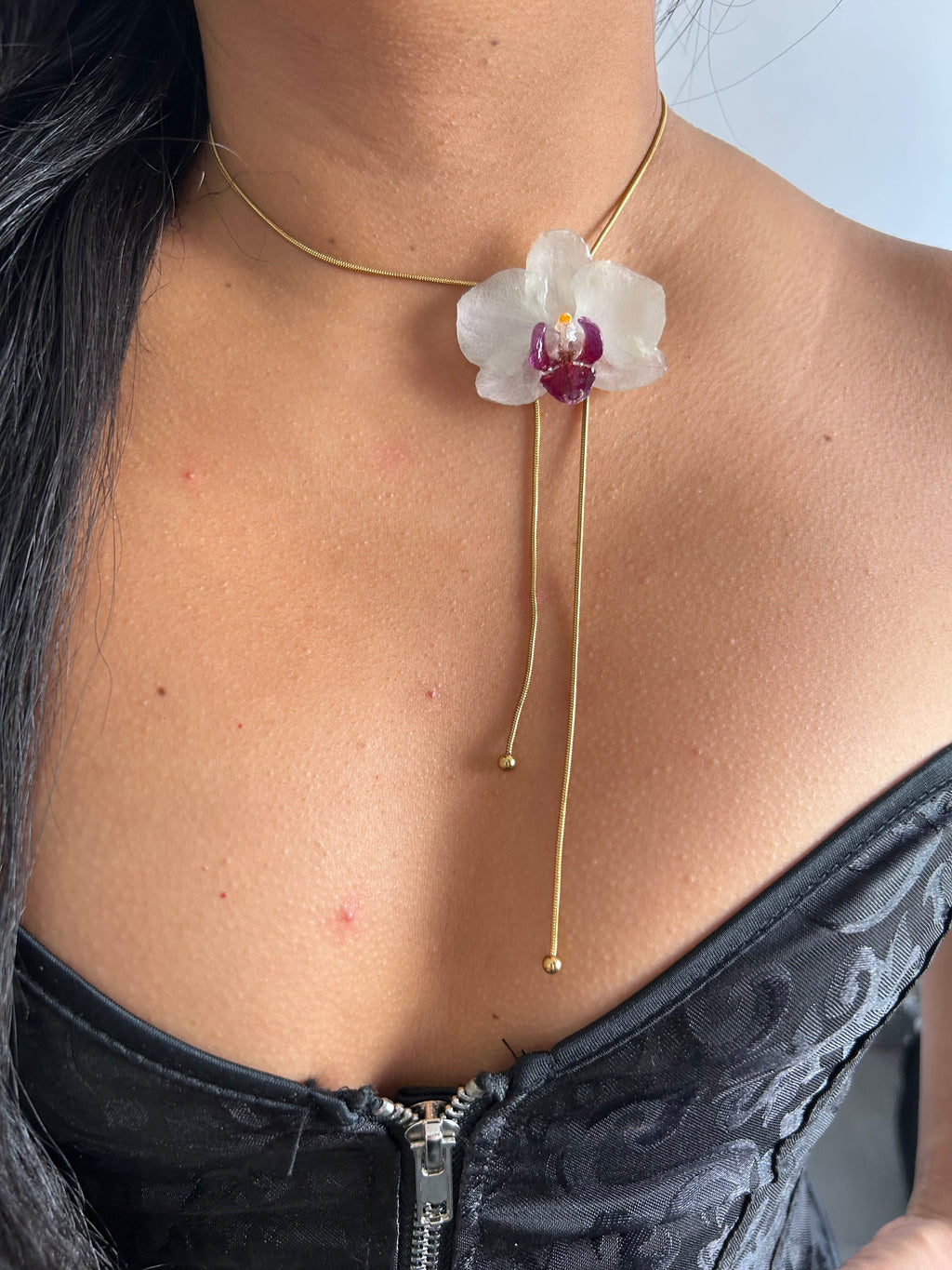 Orchid mini white