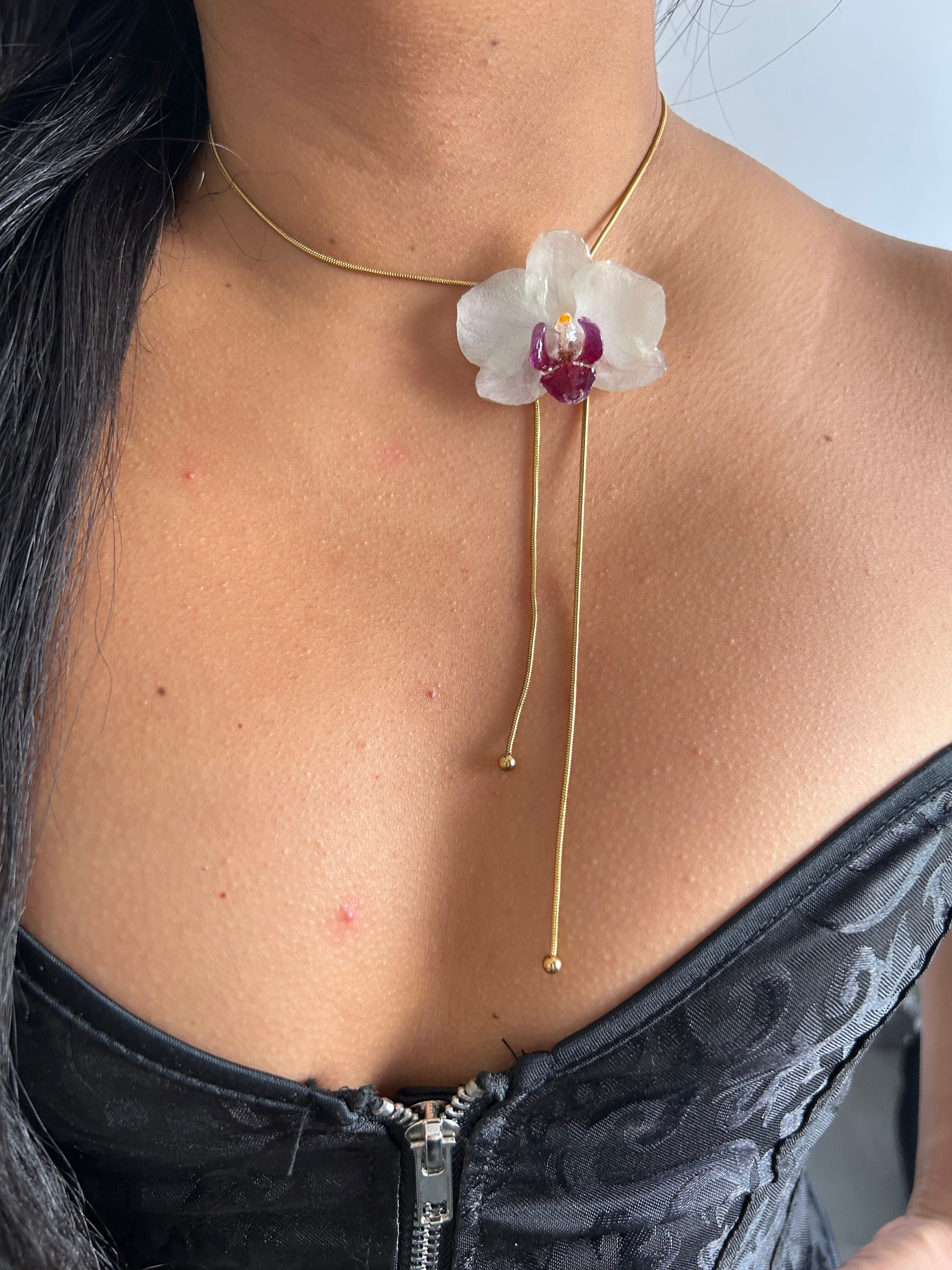 Orchid mini white