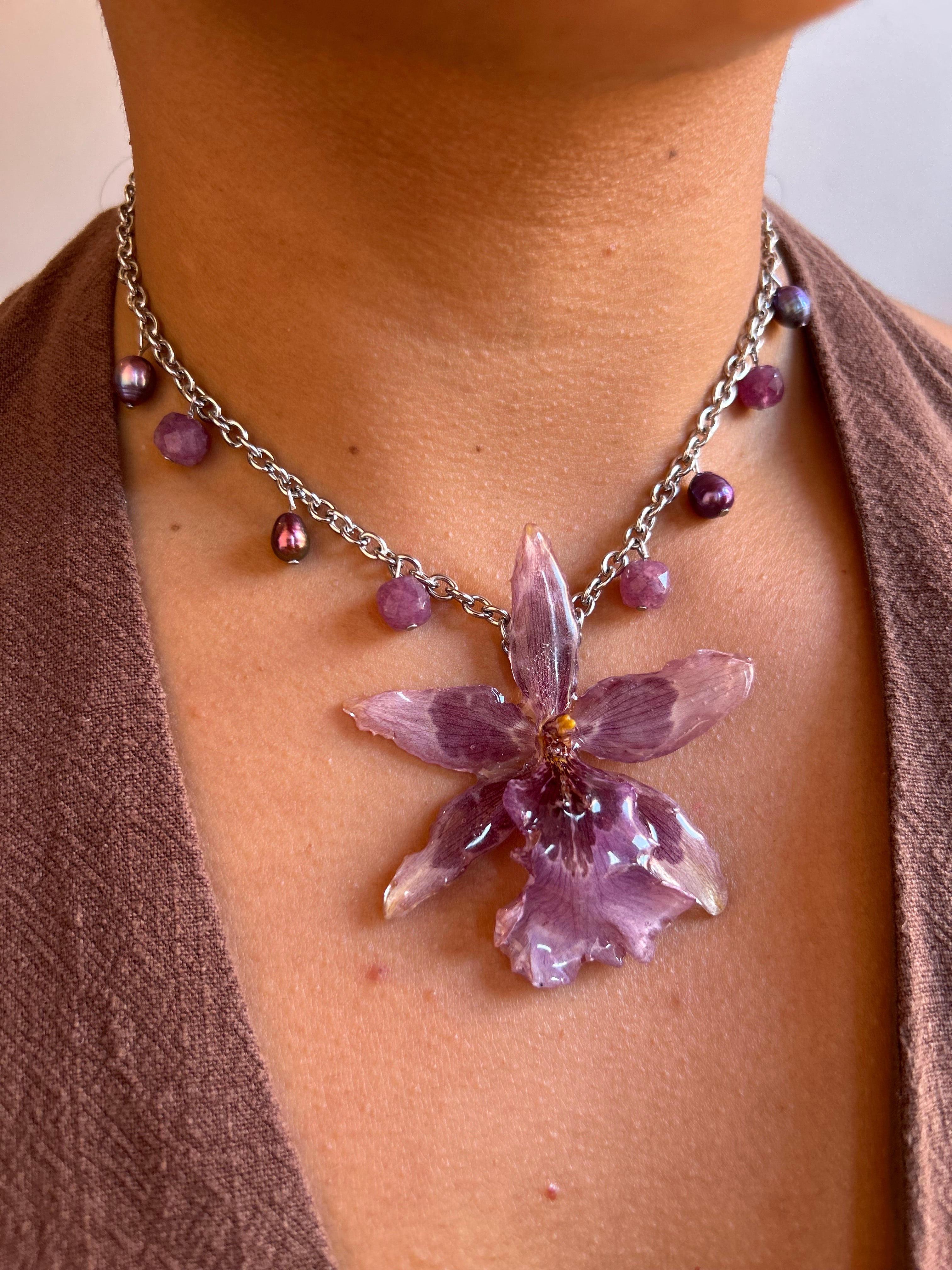 Orchid exotic star