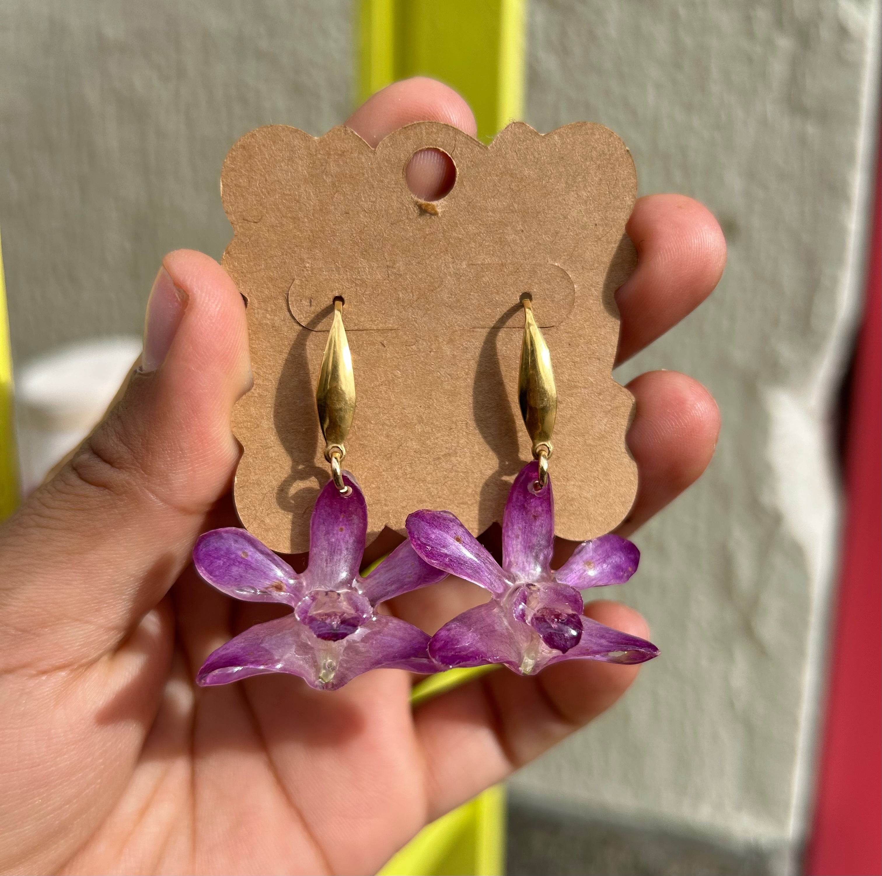 Orchid dendrobium mini cherry