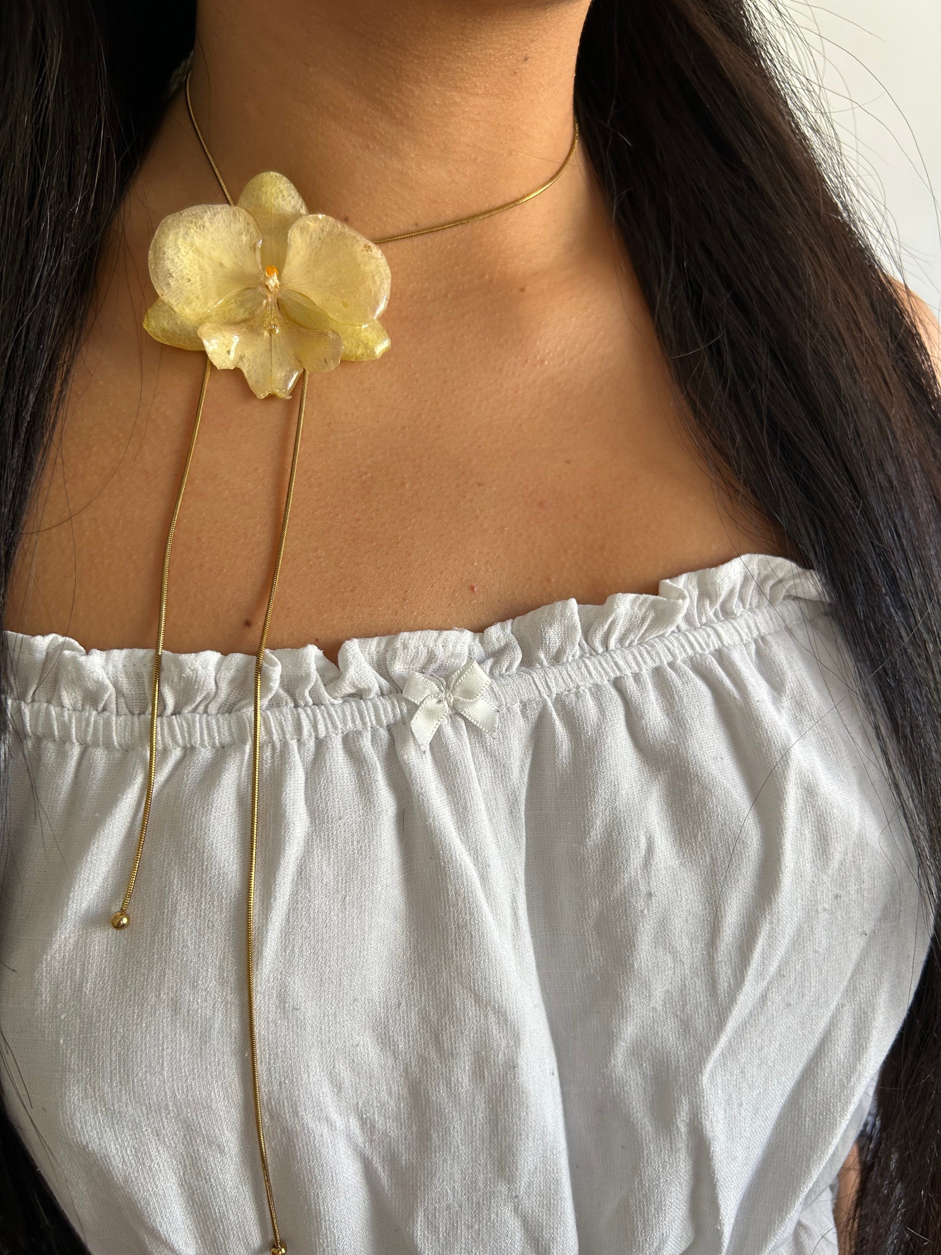 Grand orchid yellow premiun