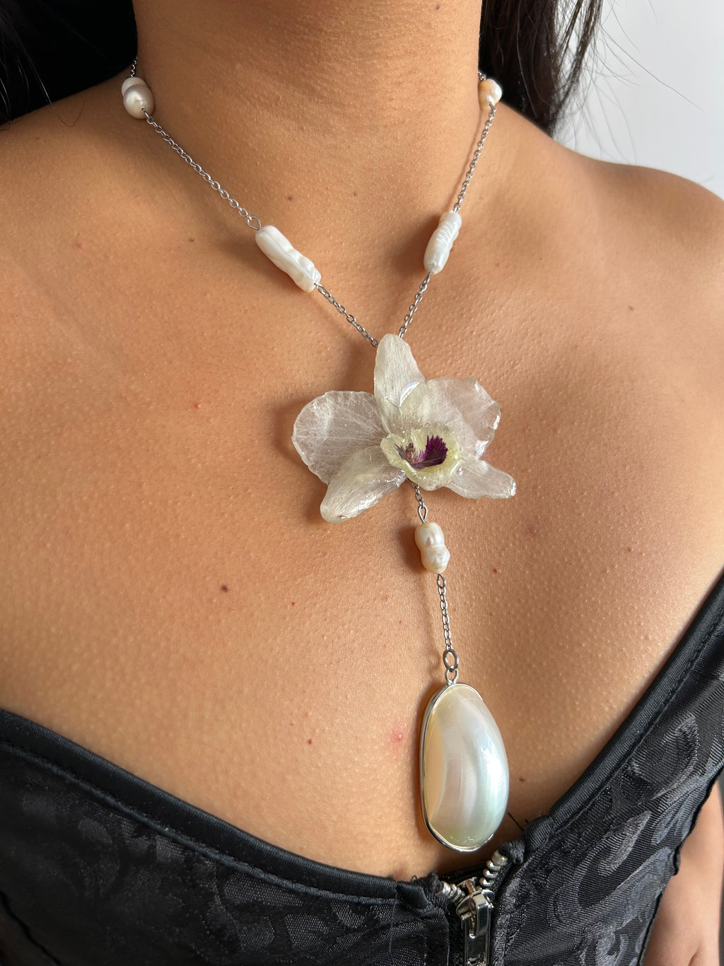 Orchid dendrobium white with shell
