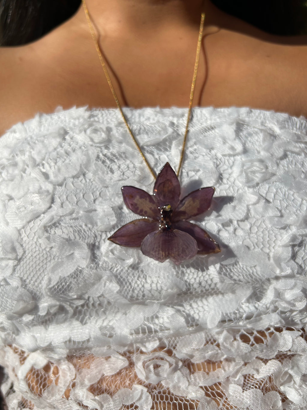 Orchid zygopetalum
