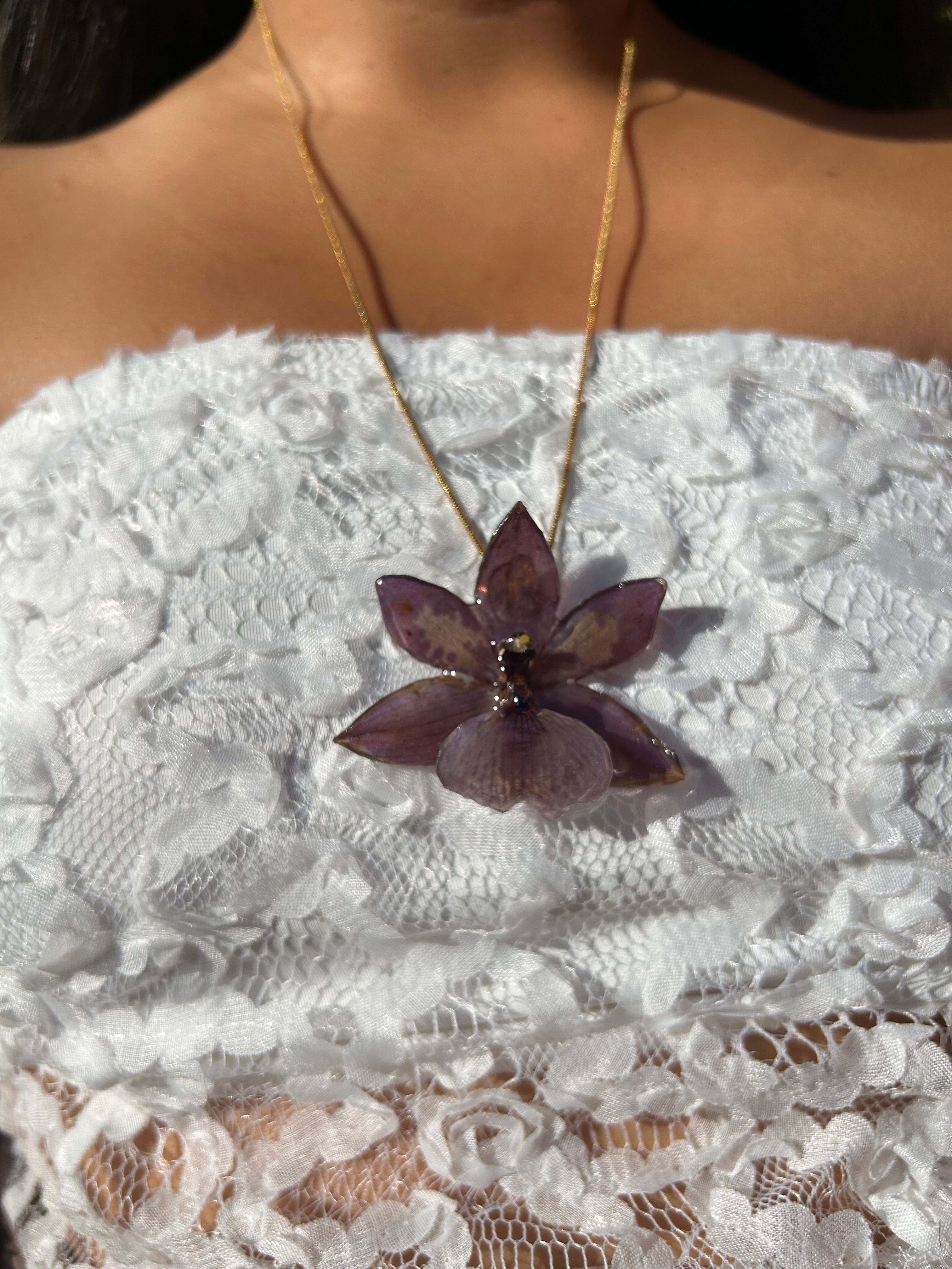 Orchid zygopetalum