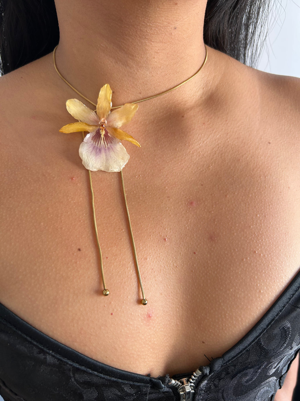 Exotic orchid yellow