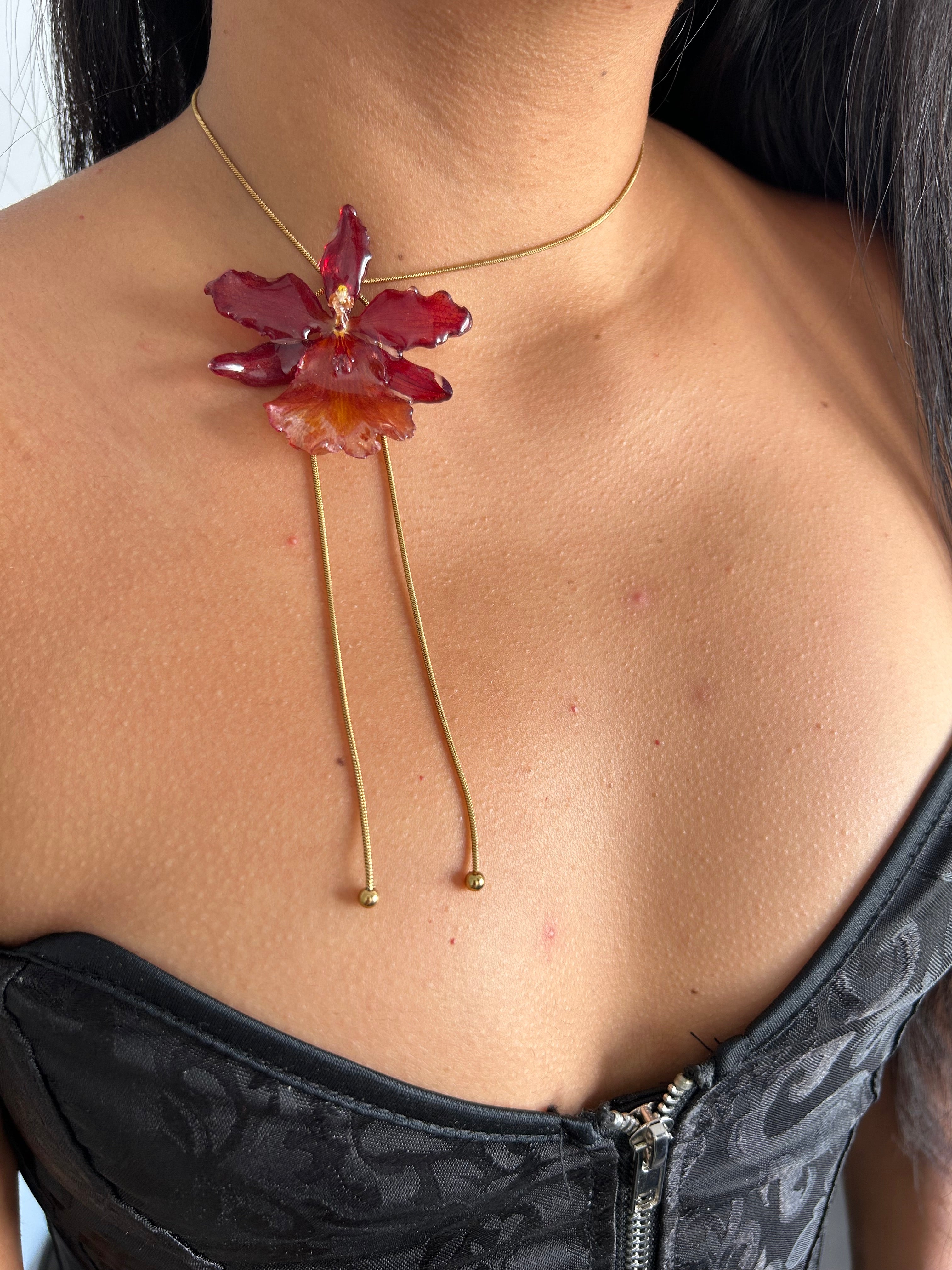Exotic Orchid