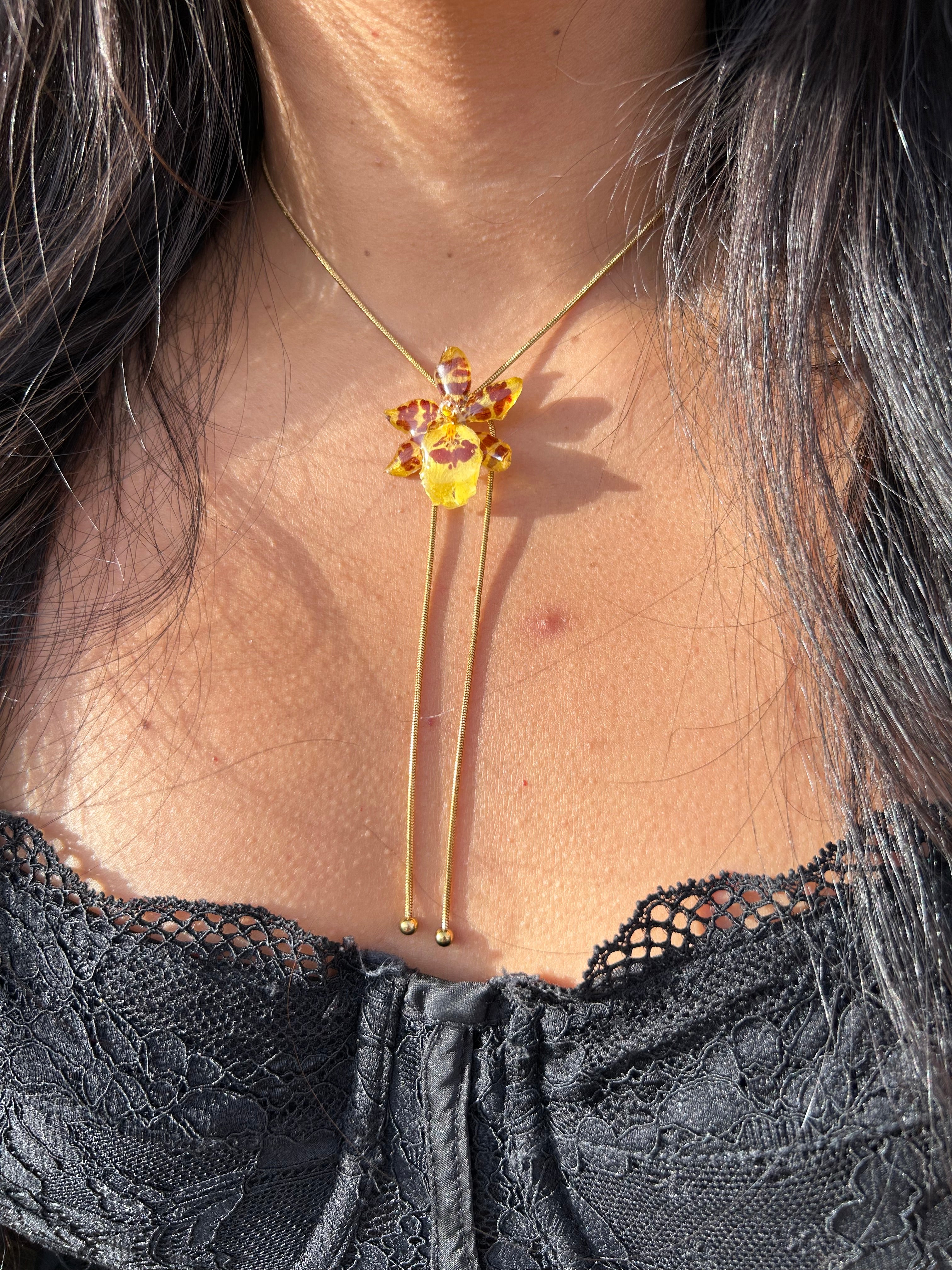Exotic orchid súper mini
