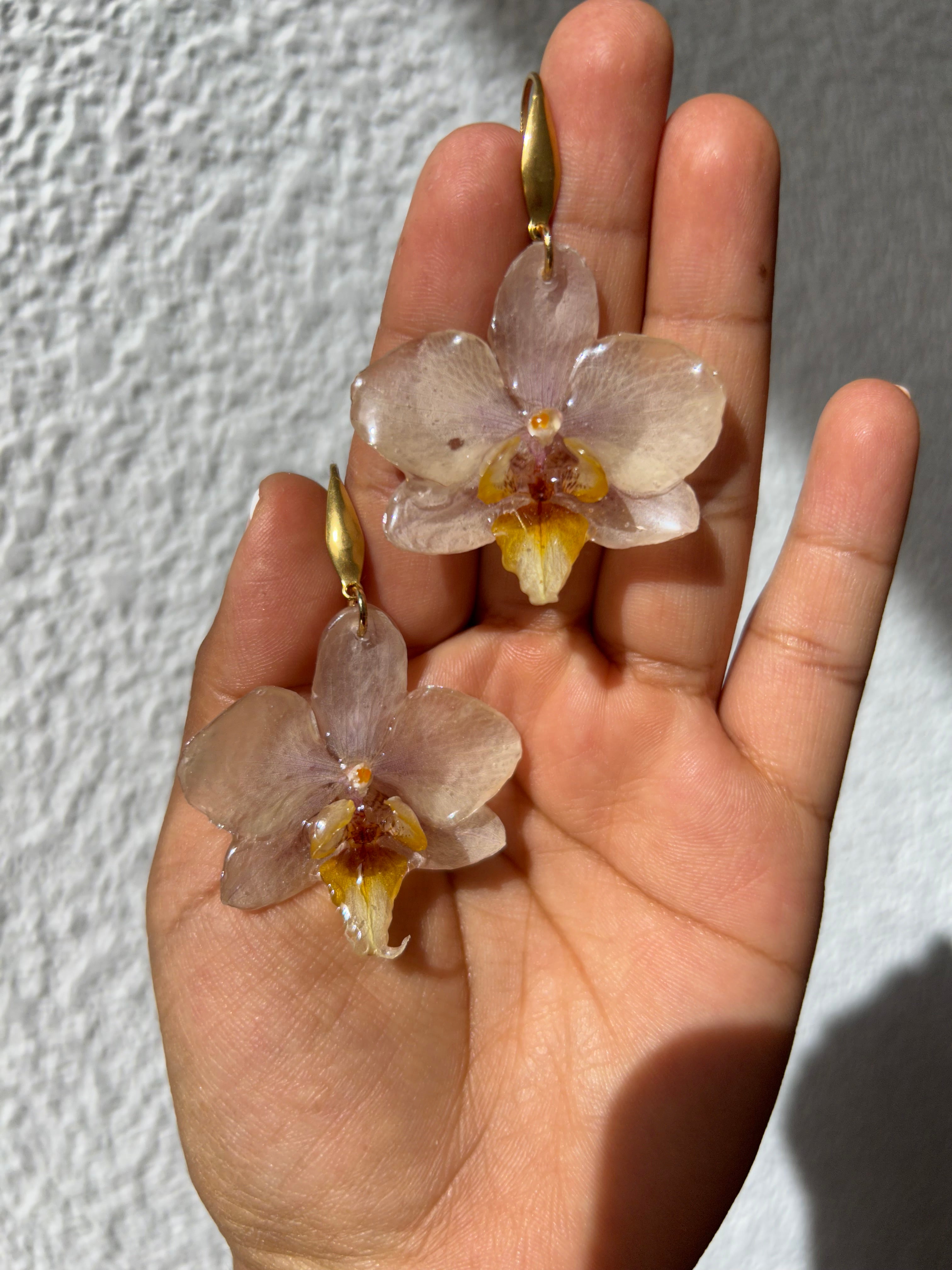 Orchid mini