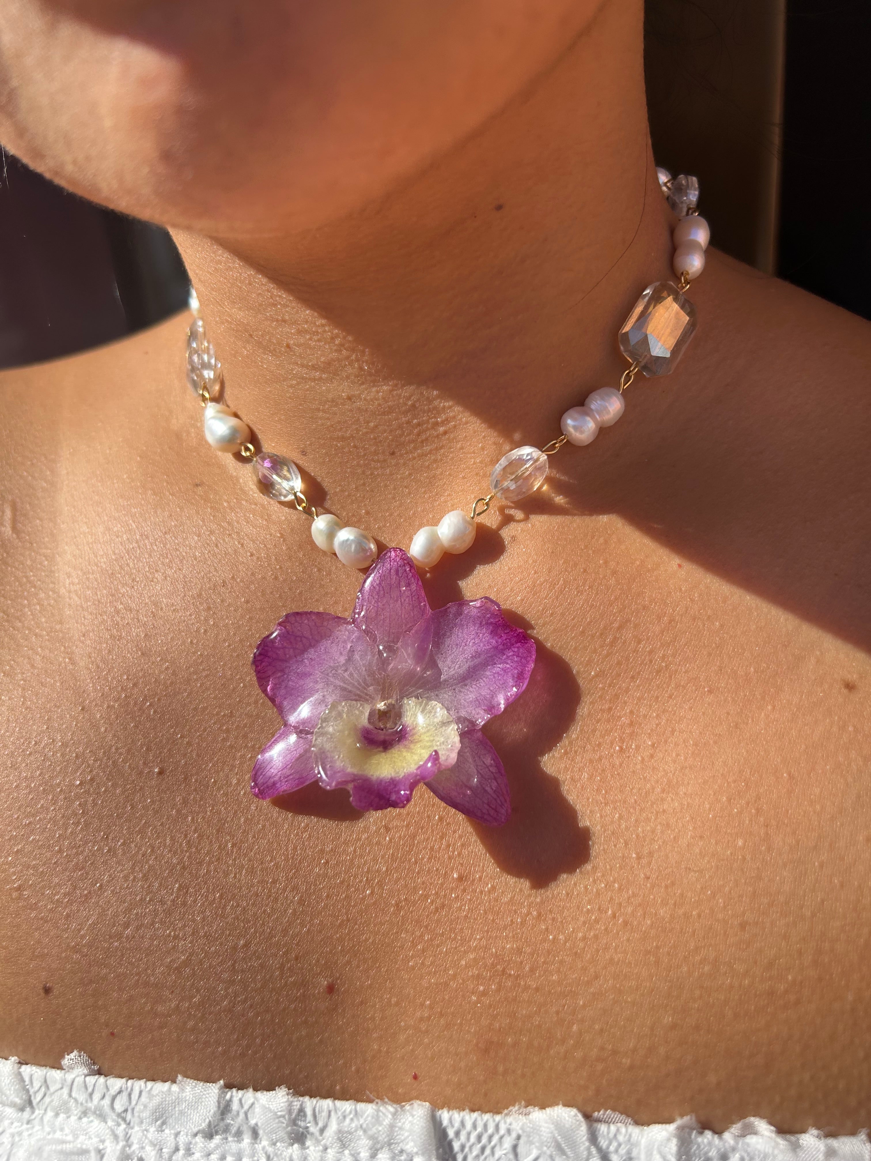 Orchid dendrobium nobile with pearls