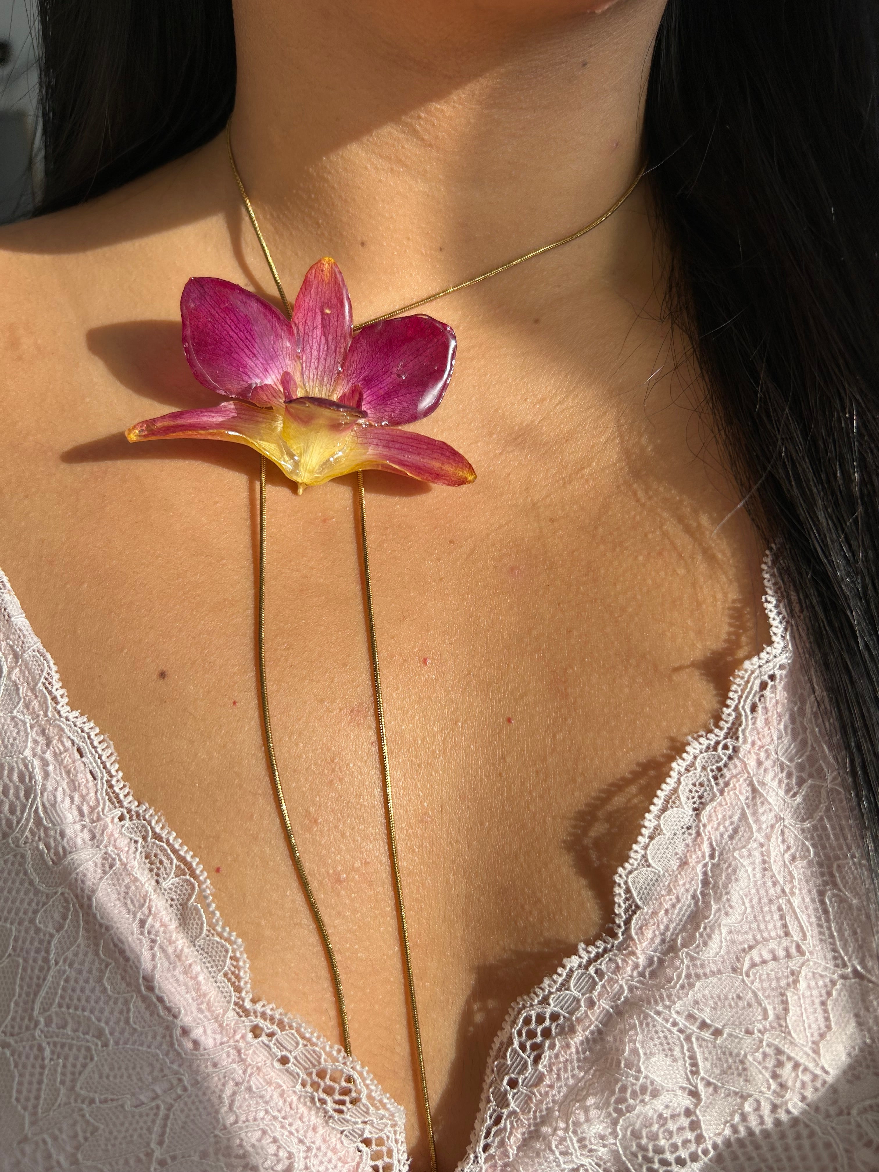 Orchid bello atardecer 2.0