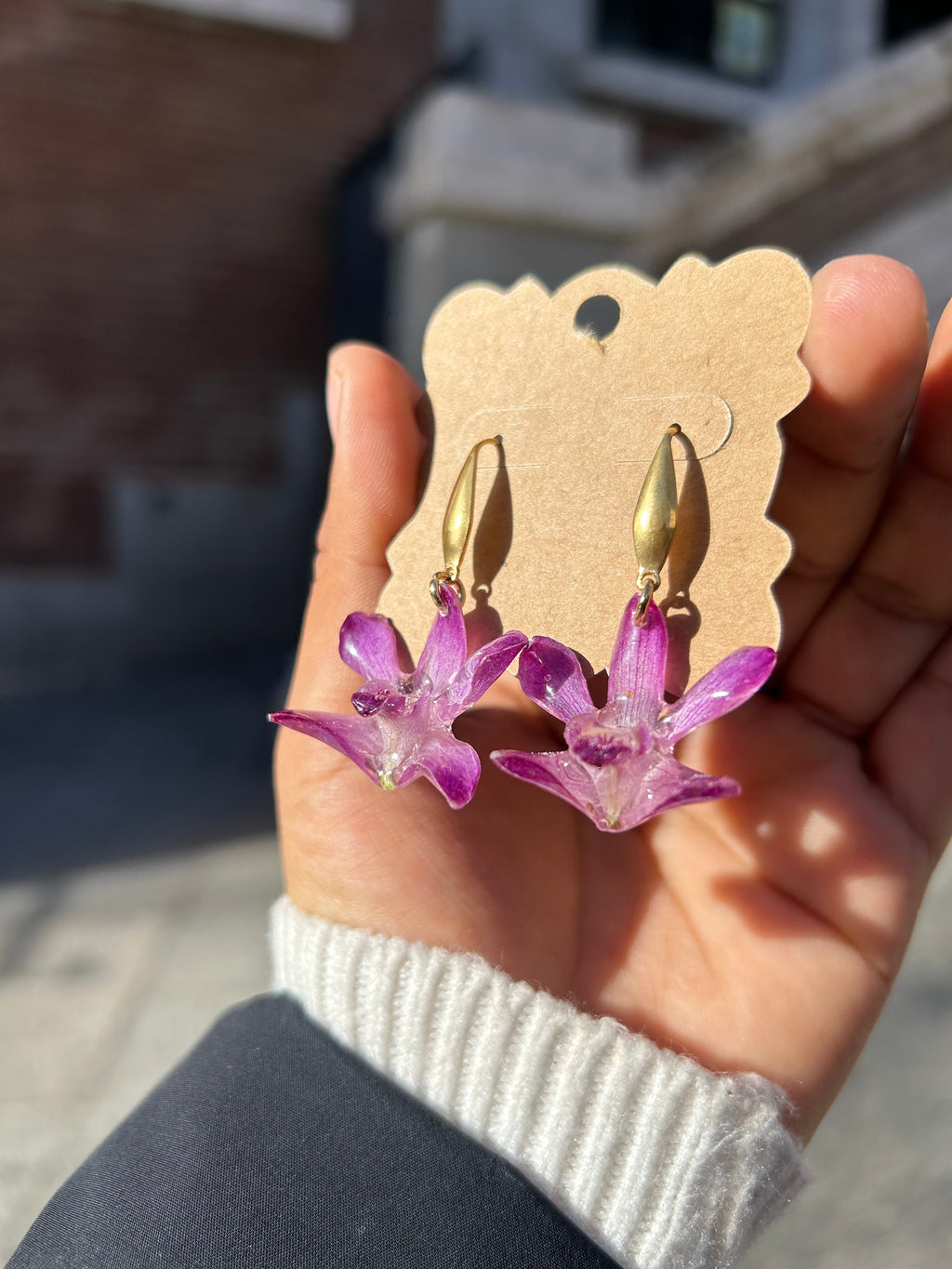 Orchid dendrobium mini cherry