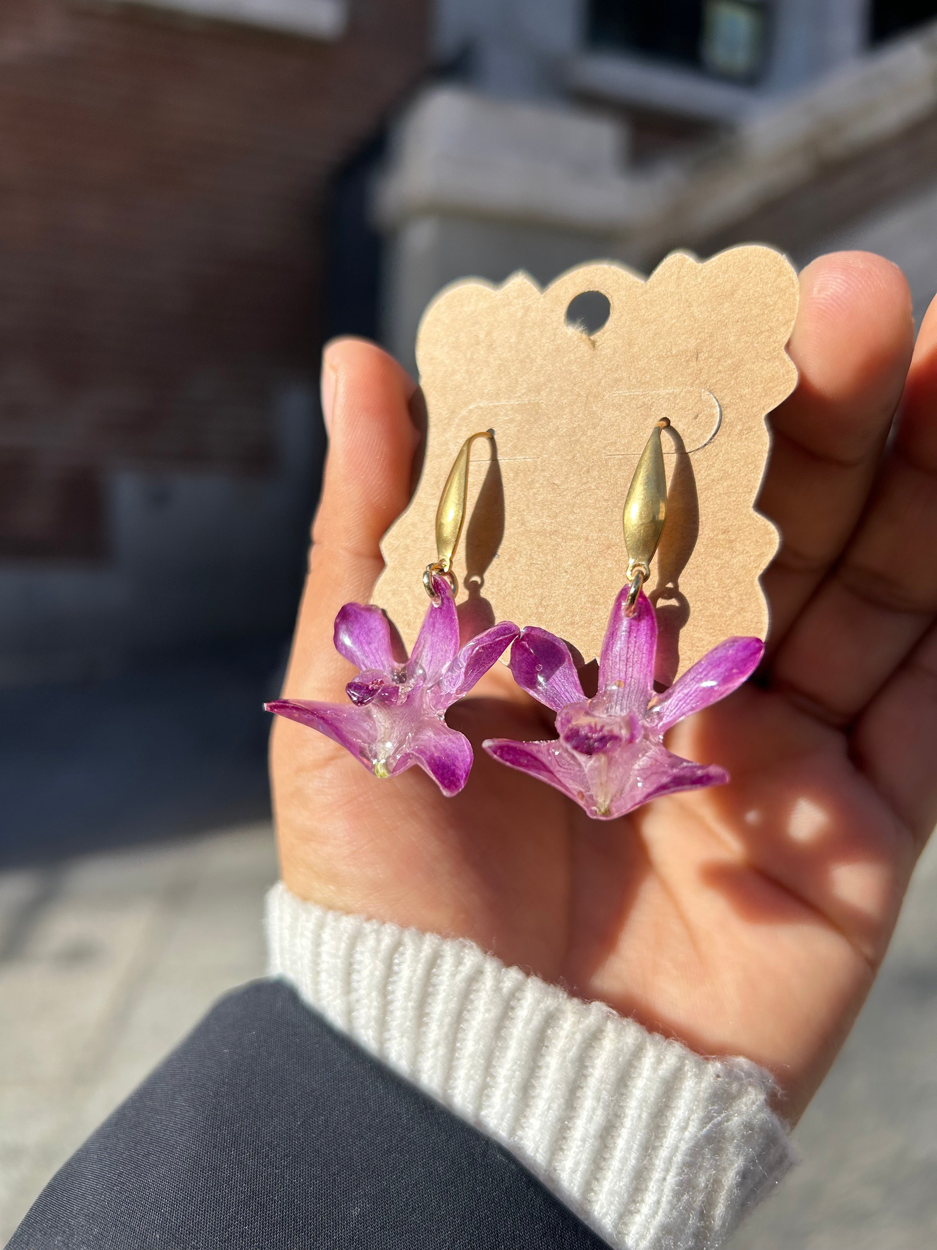 Orchid dendrobium mini cherry