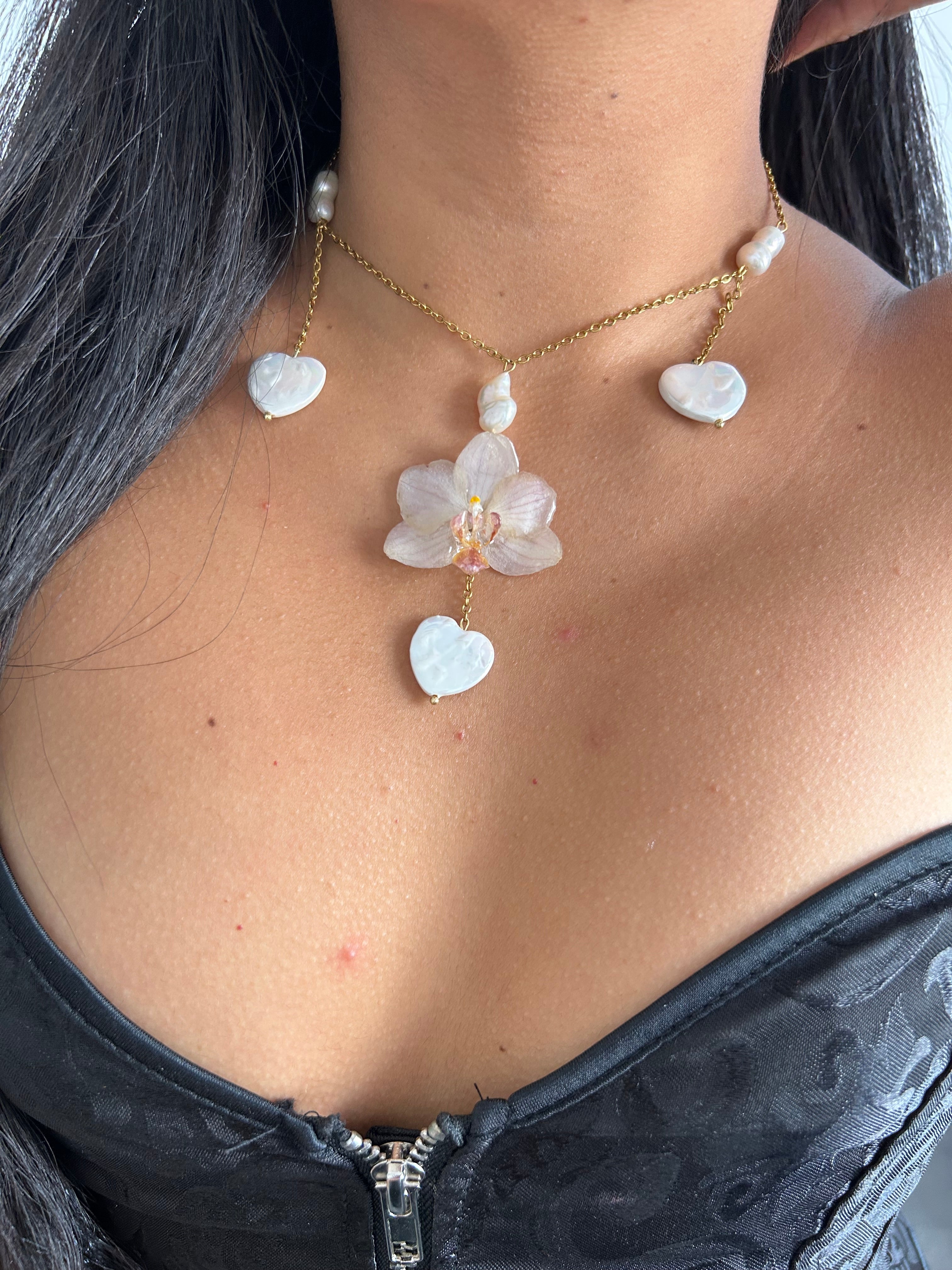 Orchid médium with shell heart