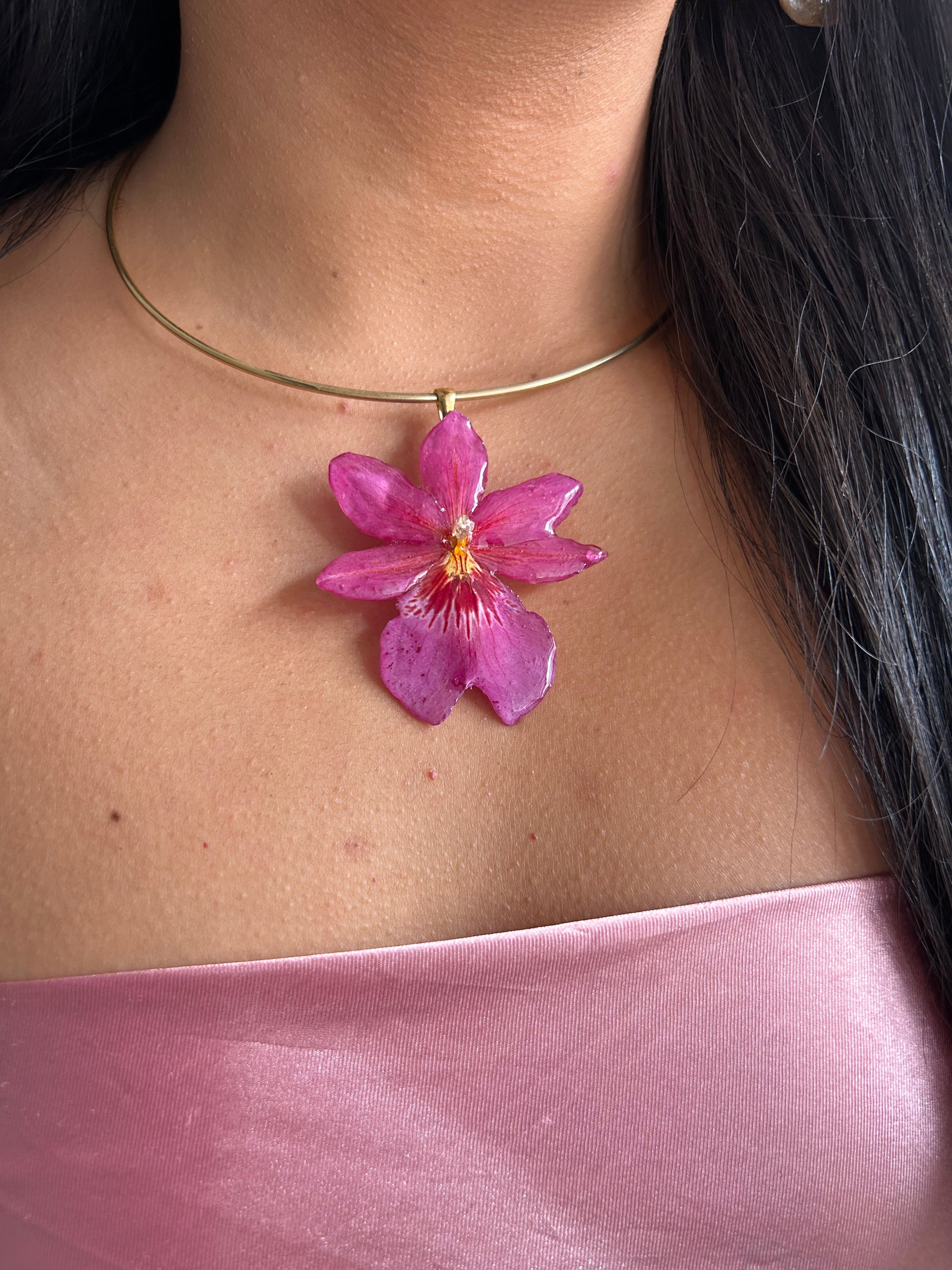 Orquídea Nelly isler rosa