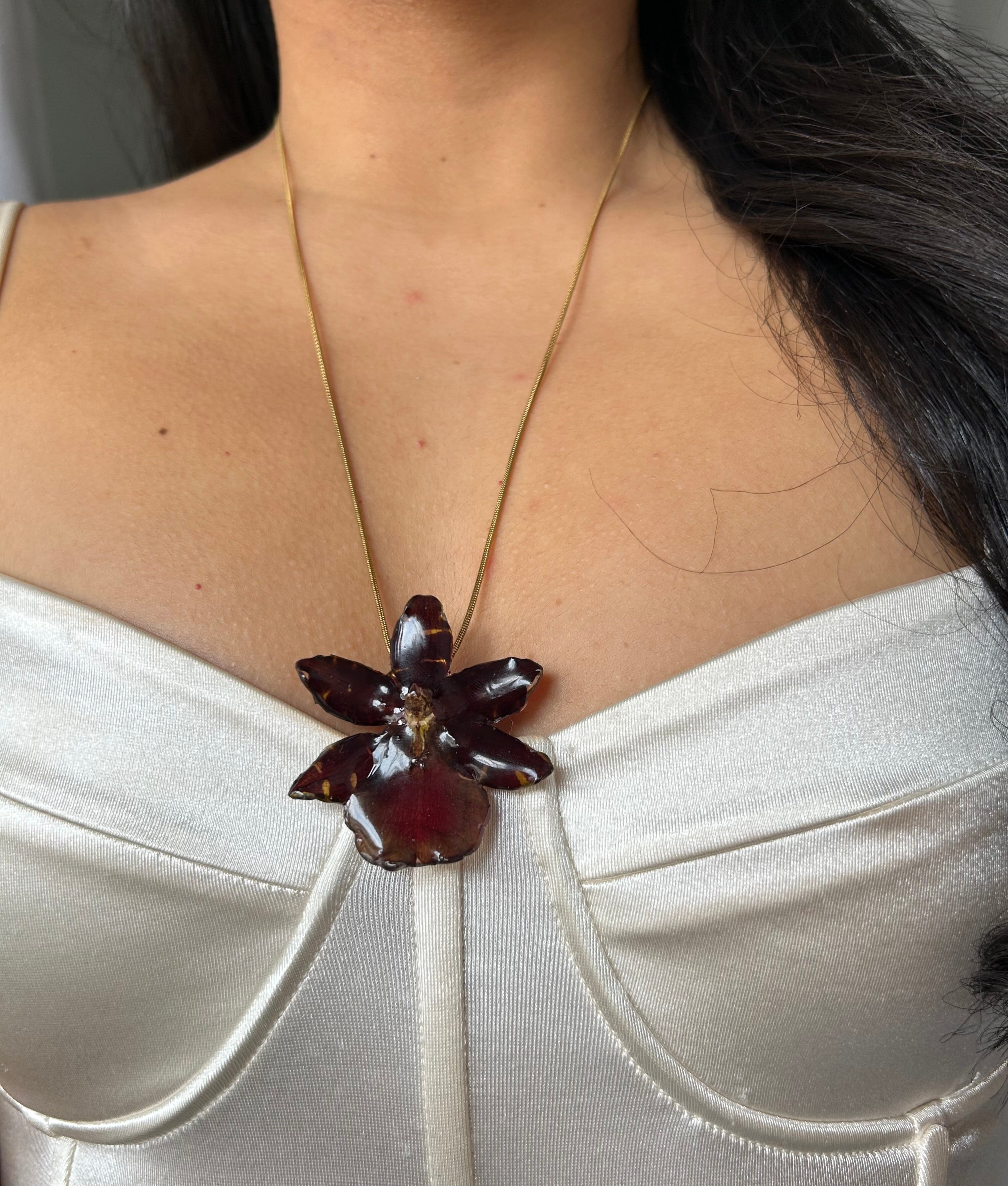 Exotic eclipse orchid