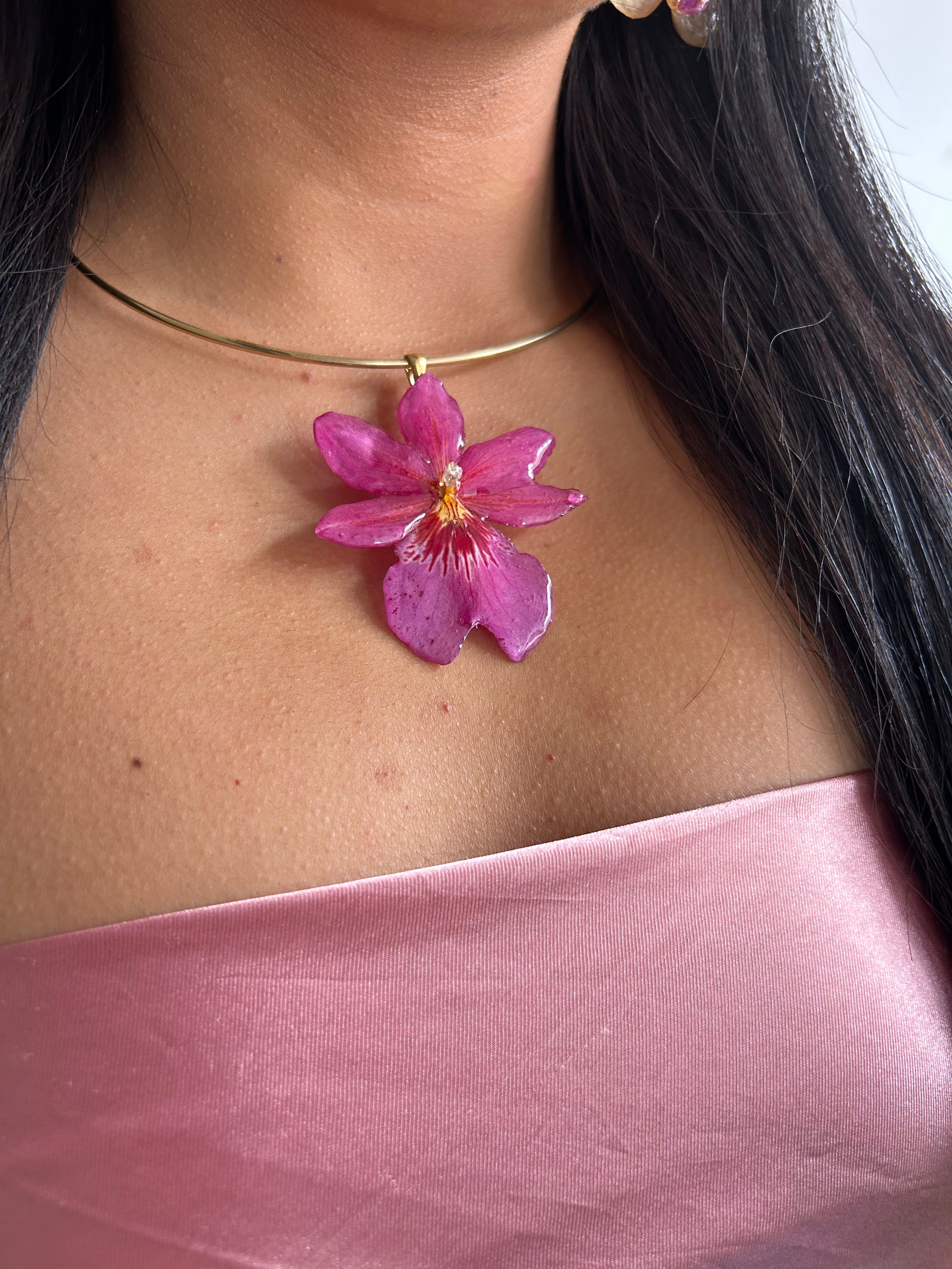 Orquídea Nelly isler rosa