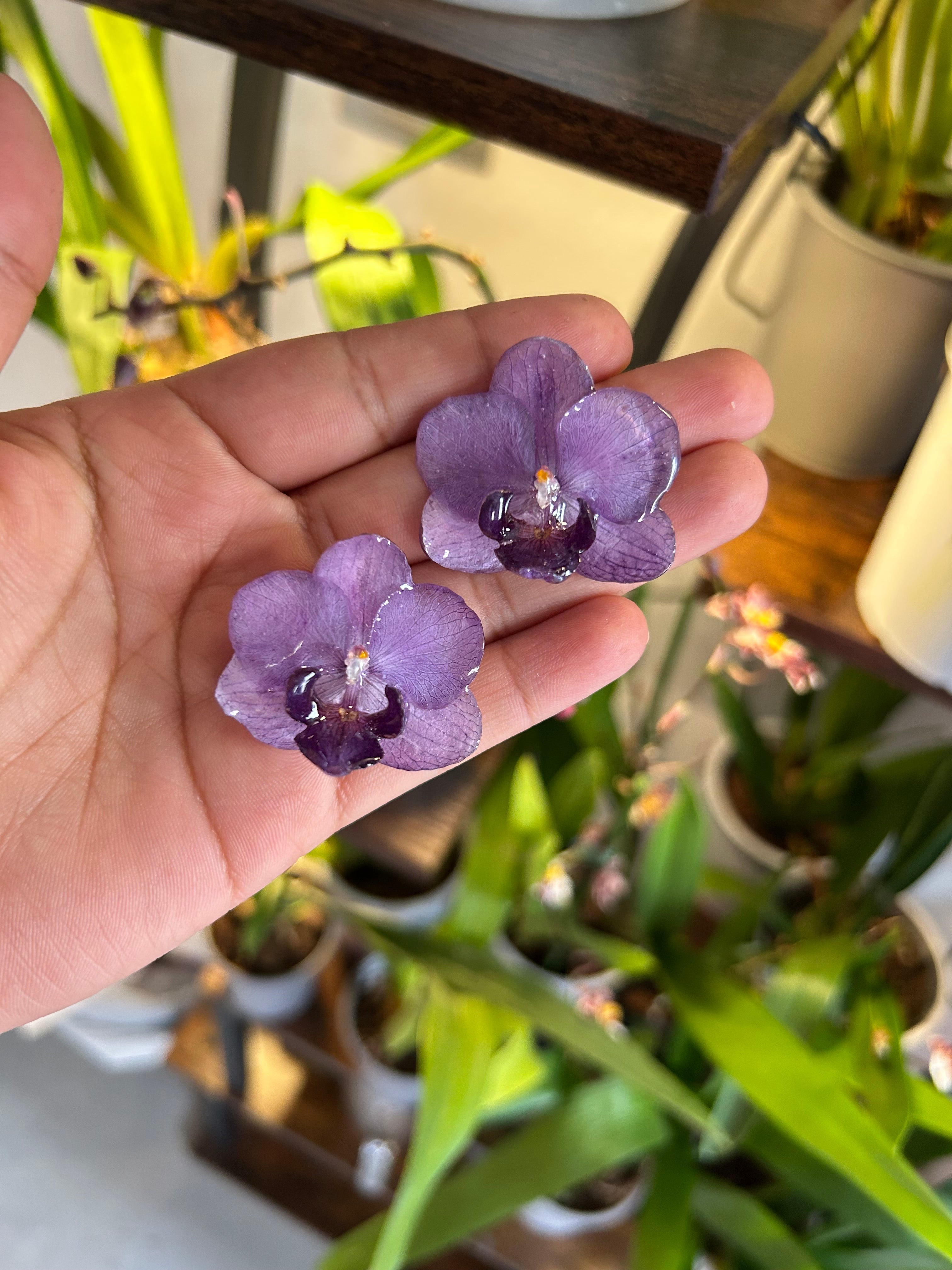 Orchid mini purple
