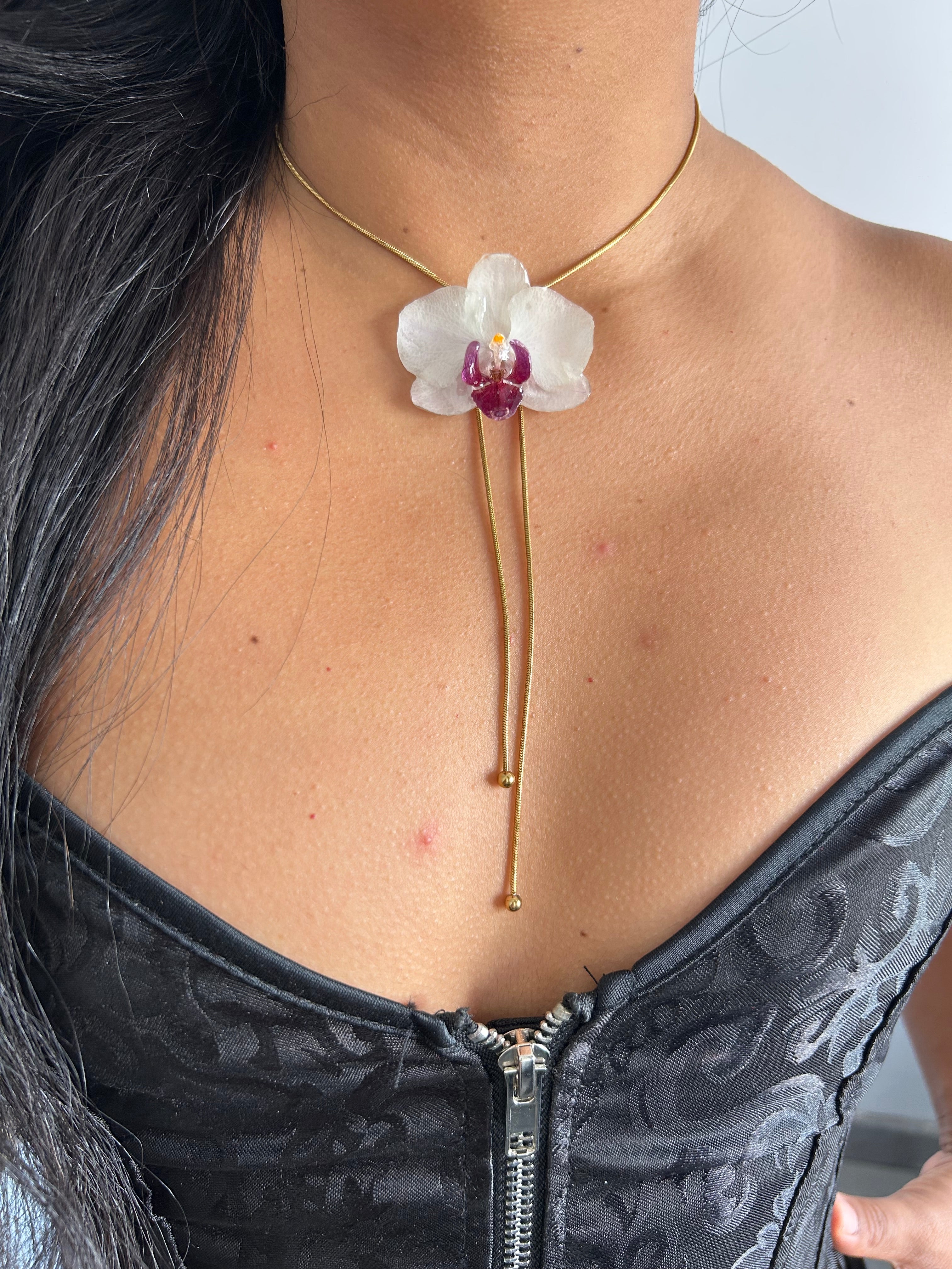 Orchid mini white