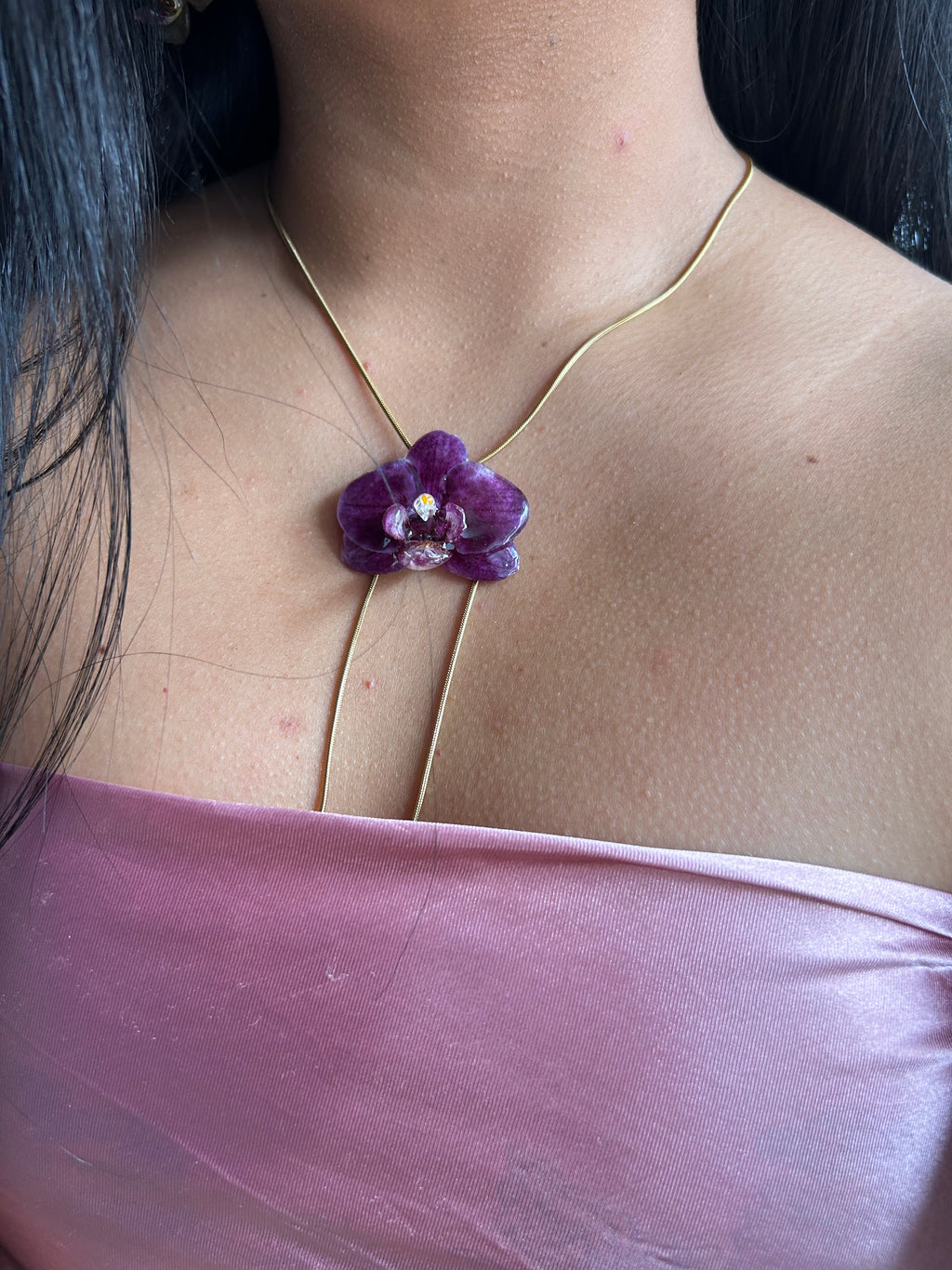 Orchid mini phalaenopsis purple