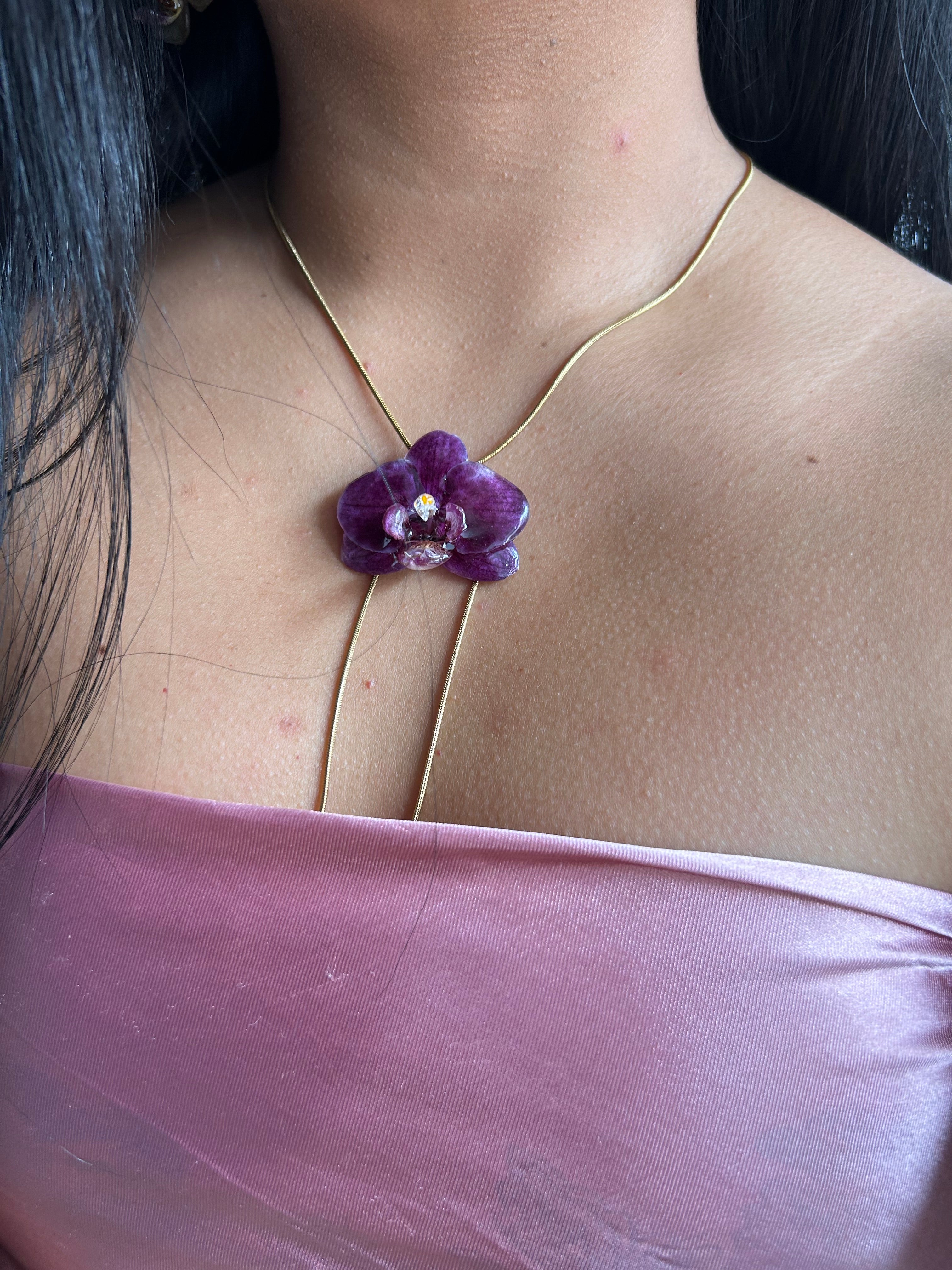 Orchid mini phalaenopsis purple