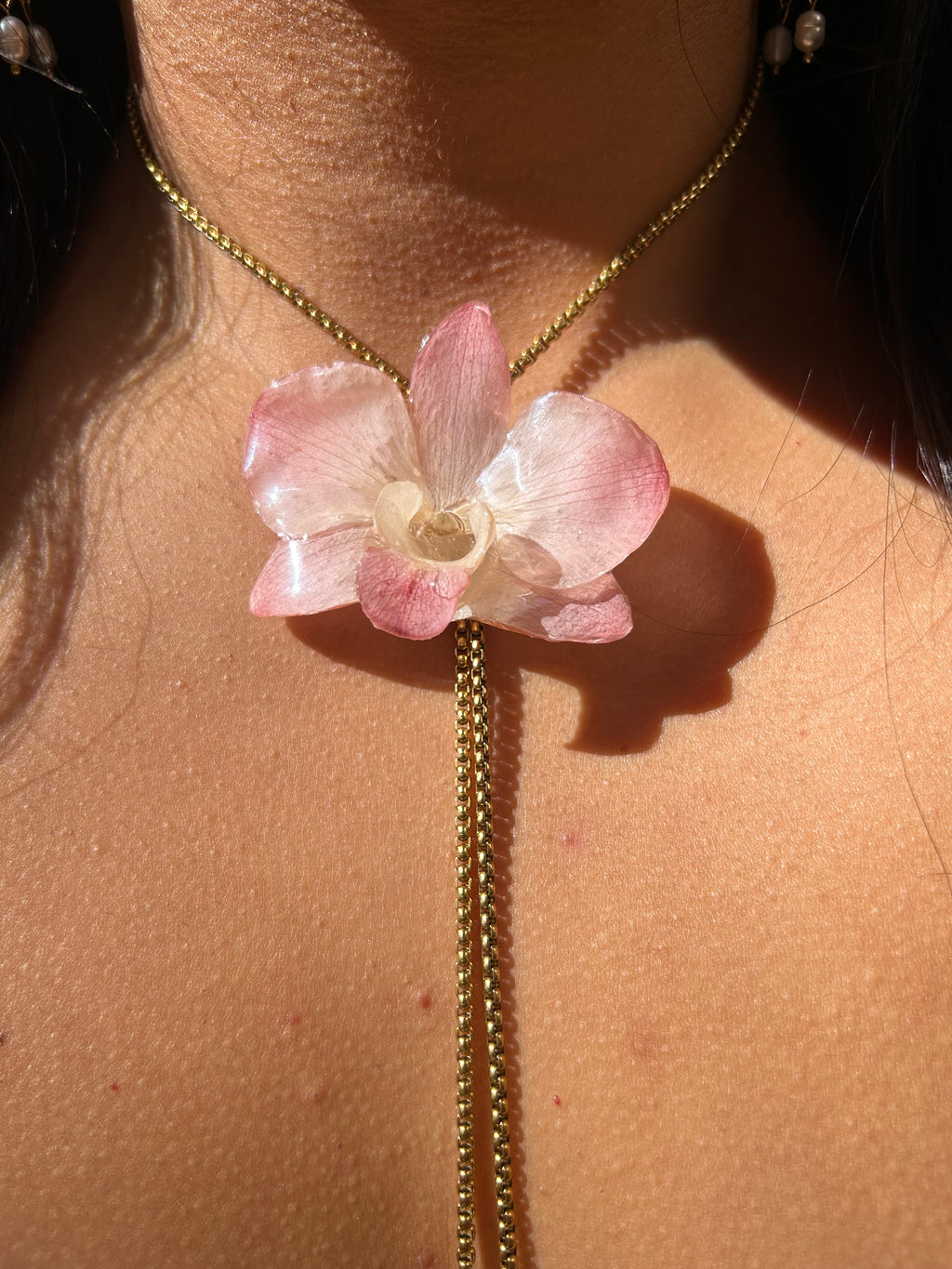 Orchid dendrobium real