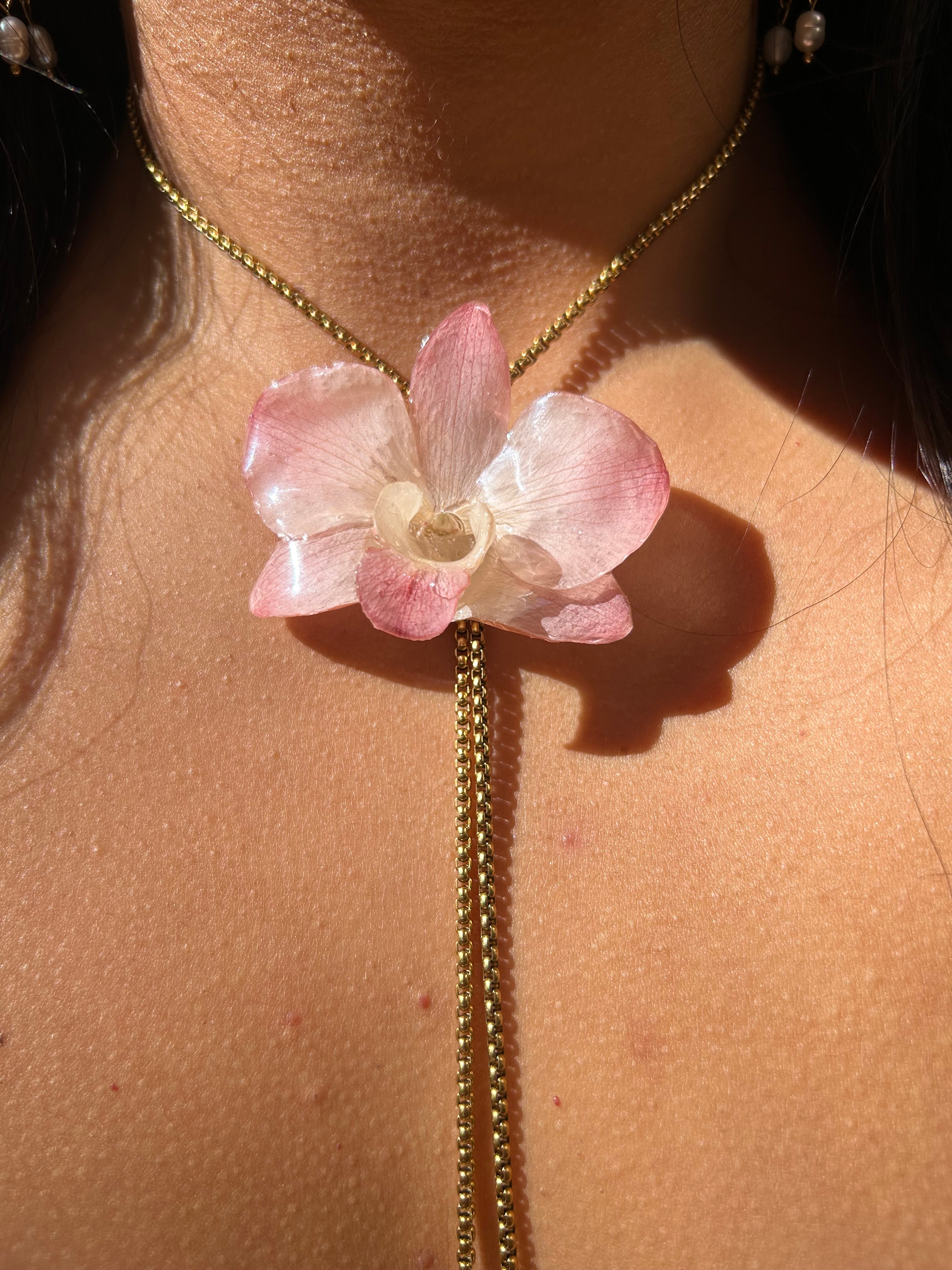 Orchid dendrobium real