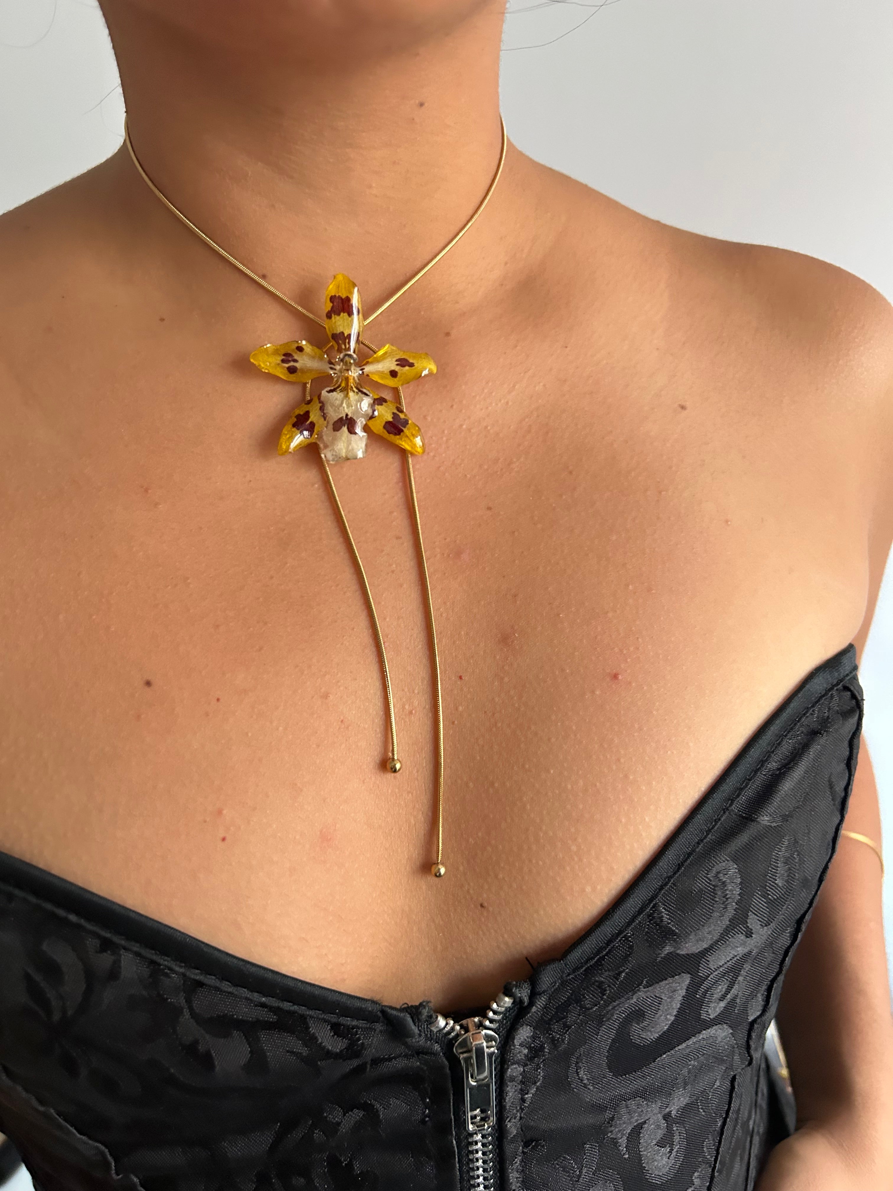 Exotic wild yellow