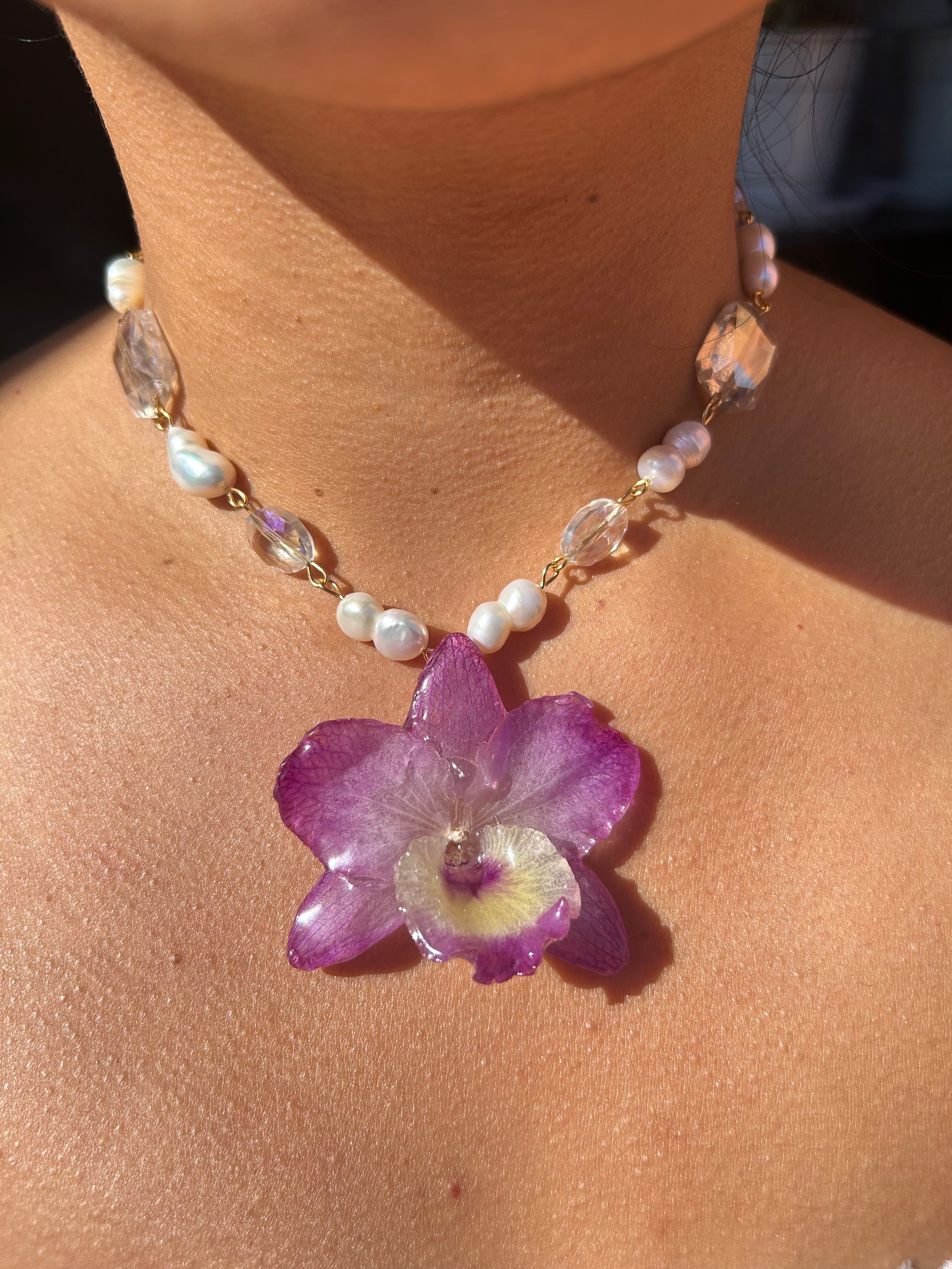 Orchid dendrobium nobile with pearls