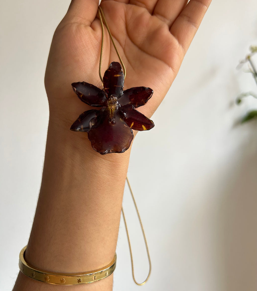 Exotic eclipse orchid