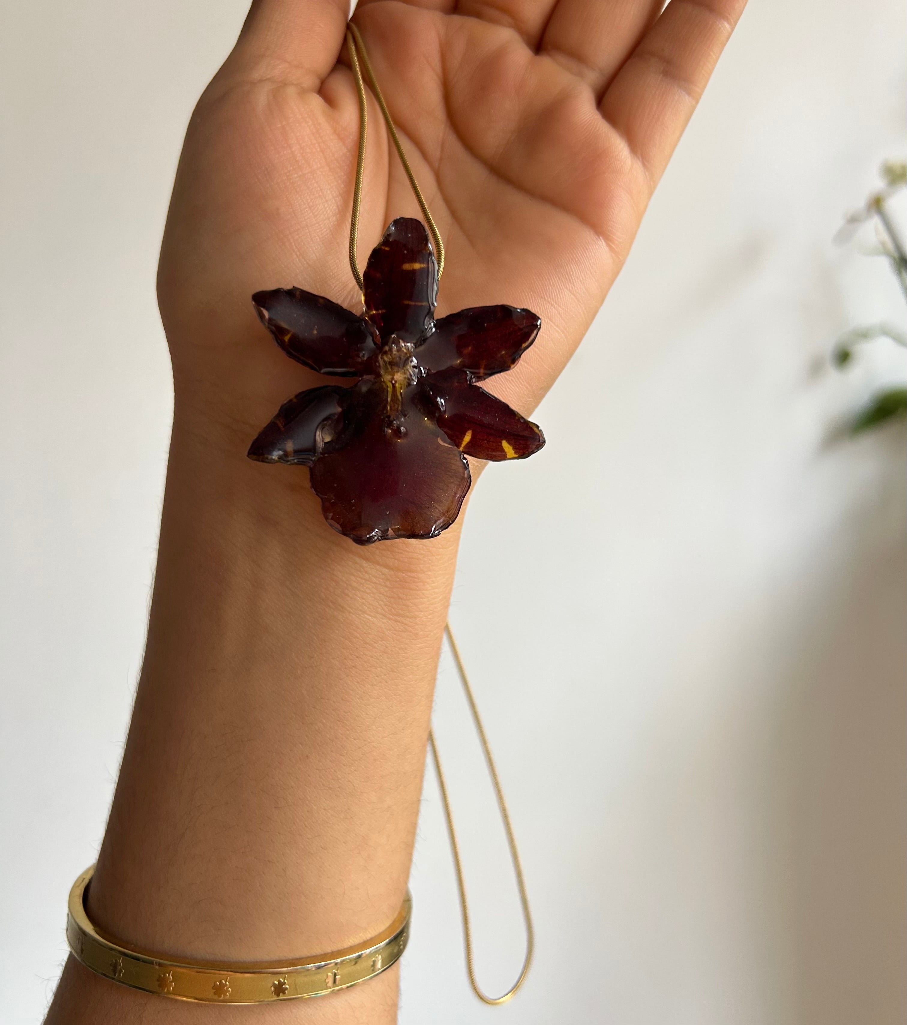 Exotic eclipse orchid