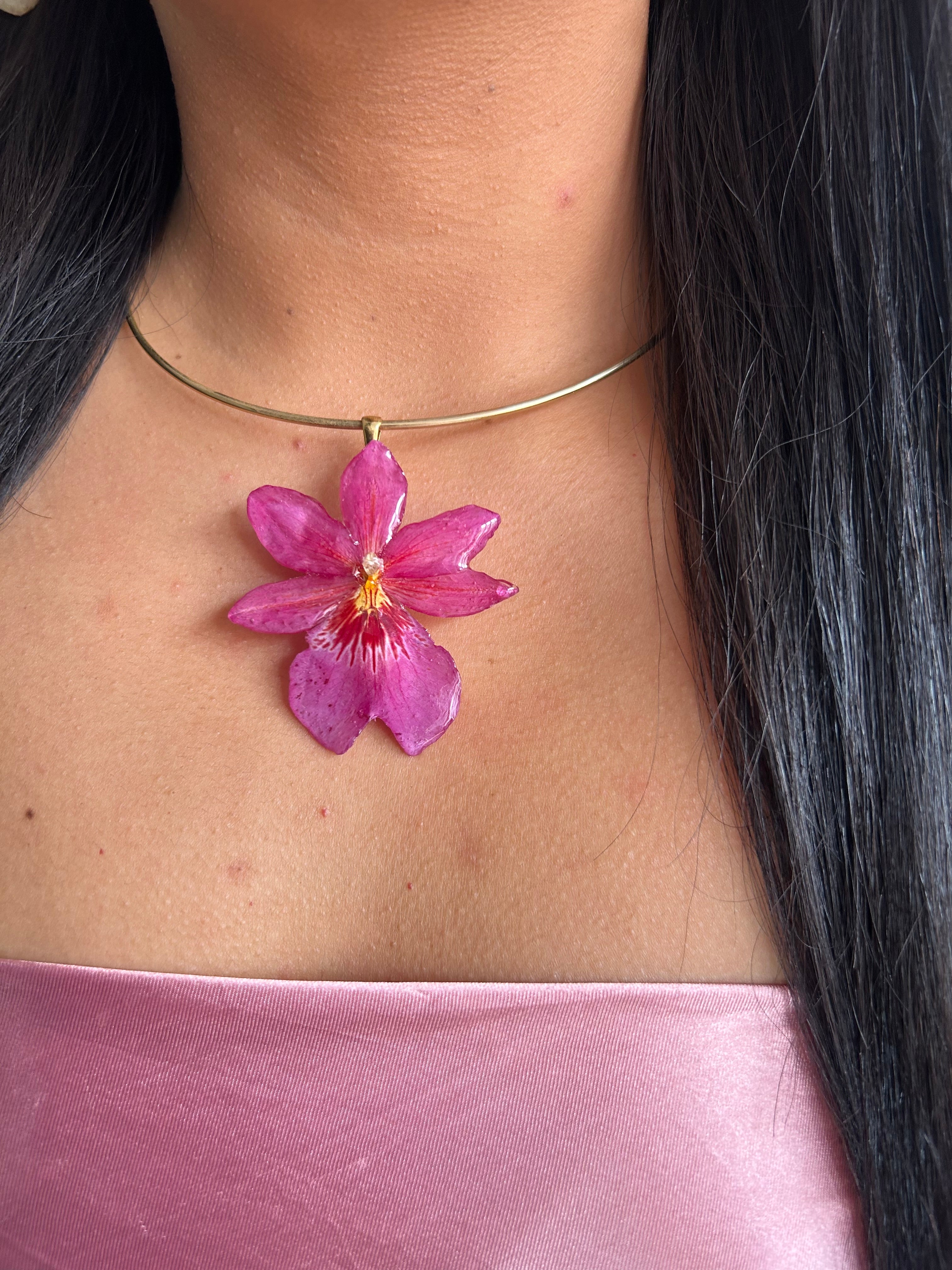 Orquídea Nelly isler rosa