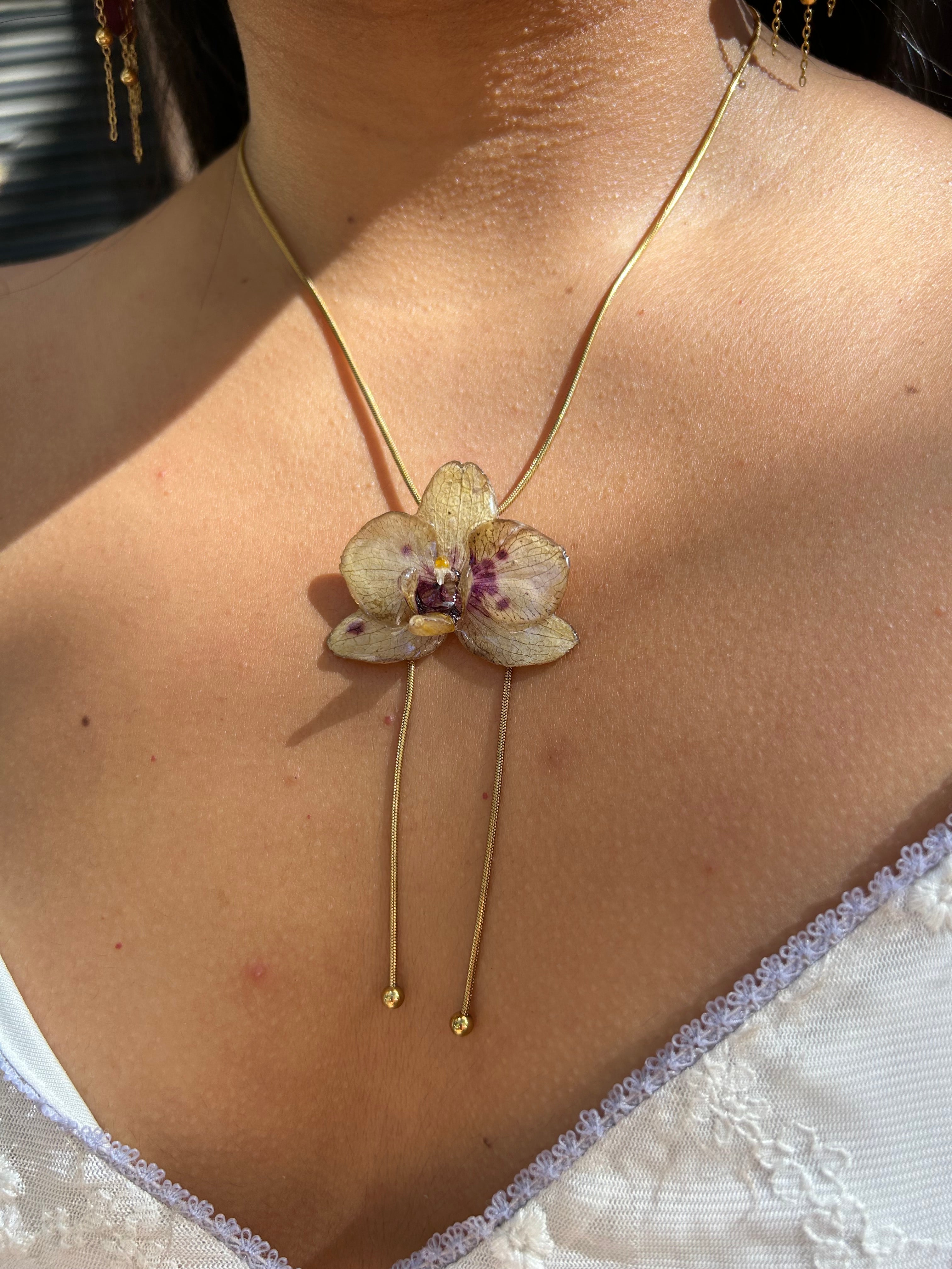 Orchid mini yellow