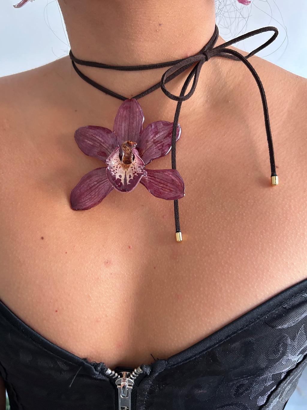 Grand orchid cymbidium lazo