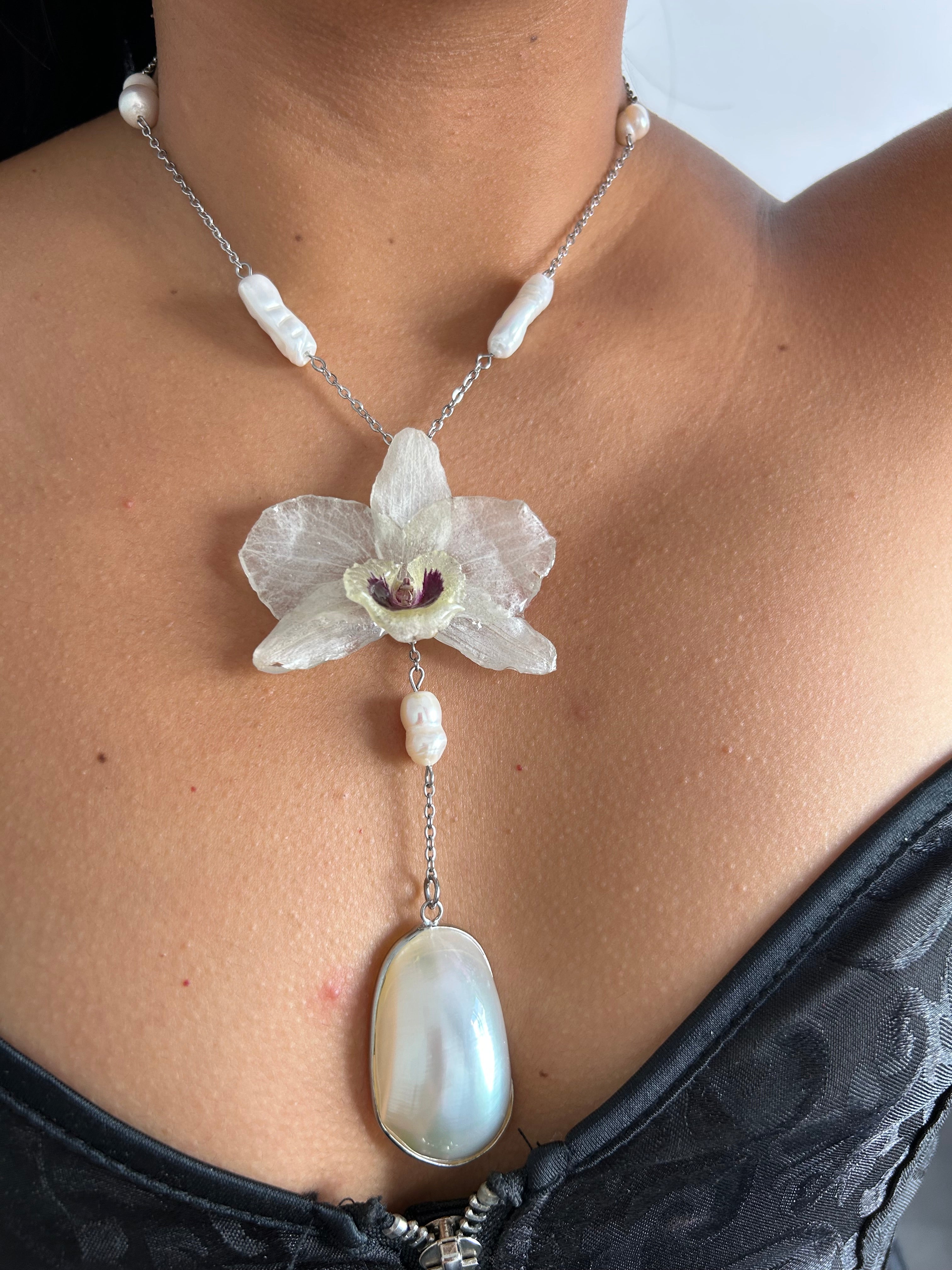 Orchid dendrobium white with shell