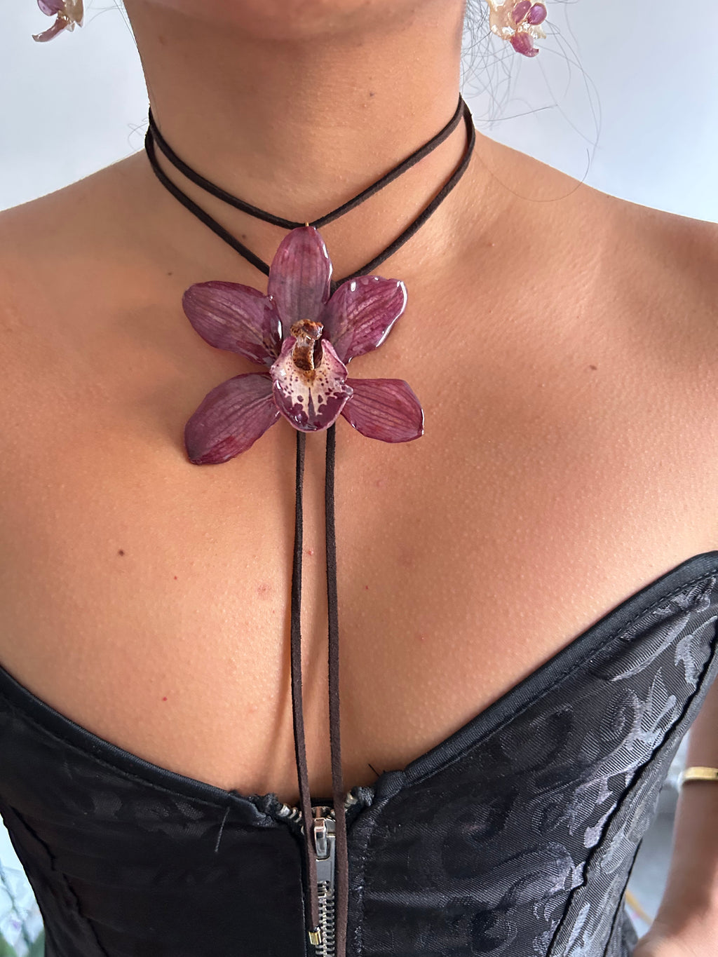 Grand orchid cymbidium lazo