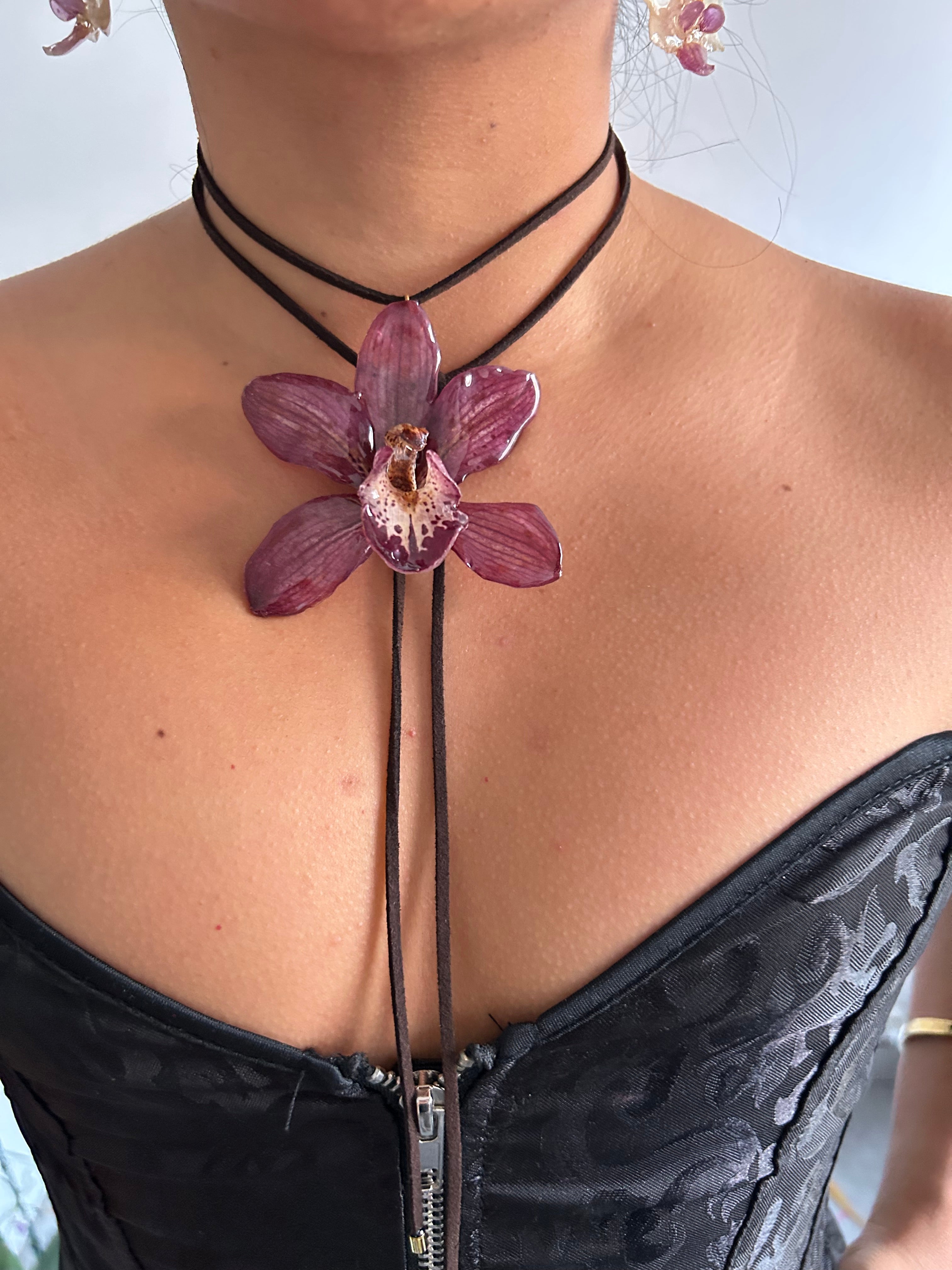 Grand orchid cymbidium lazo