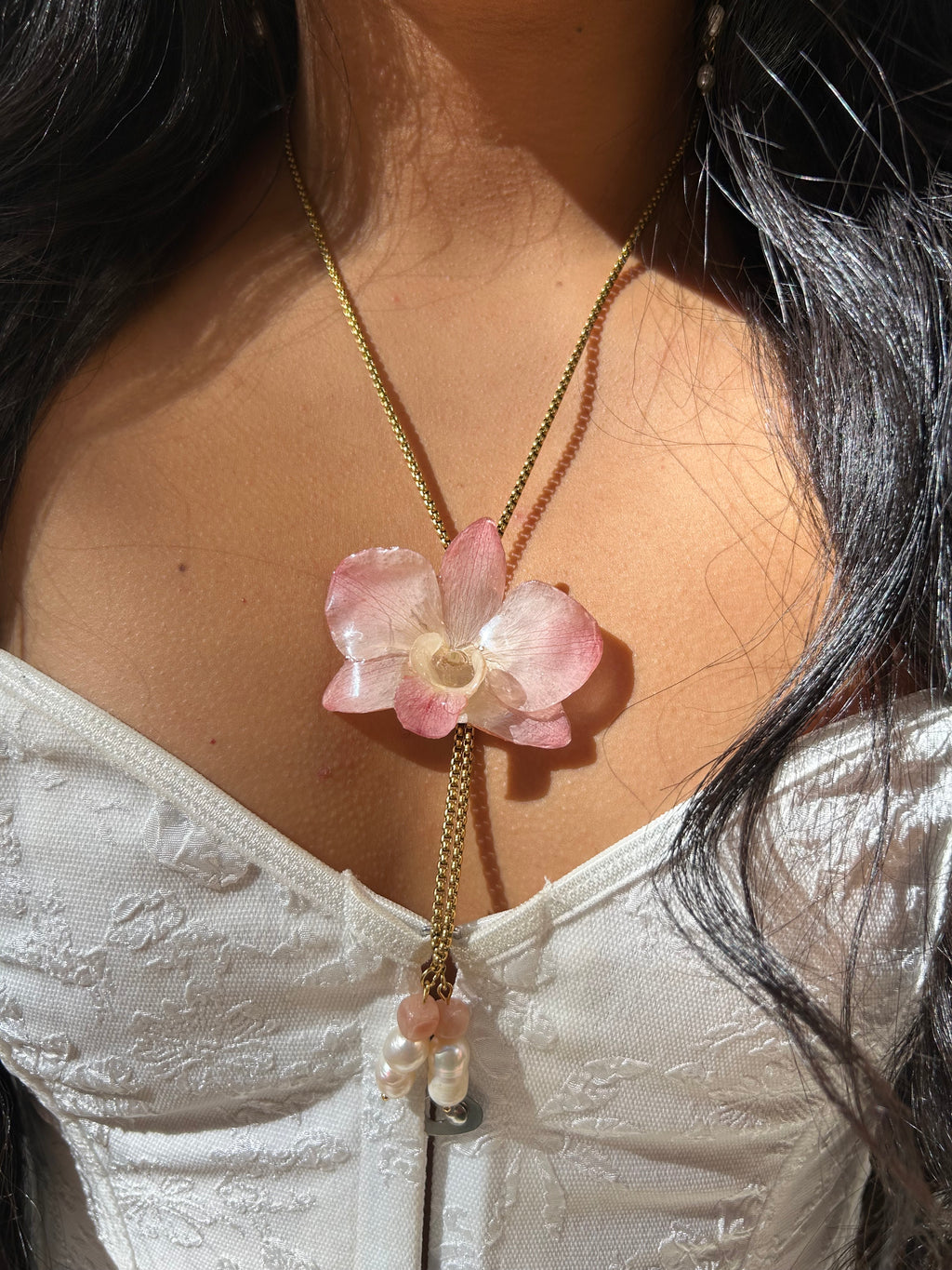 Orchid dendrobium real