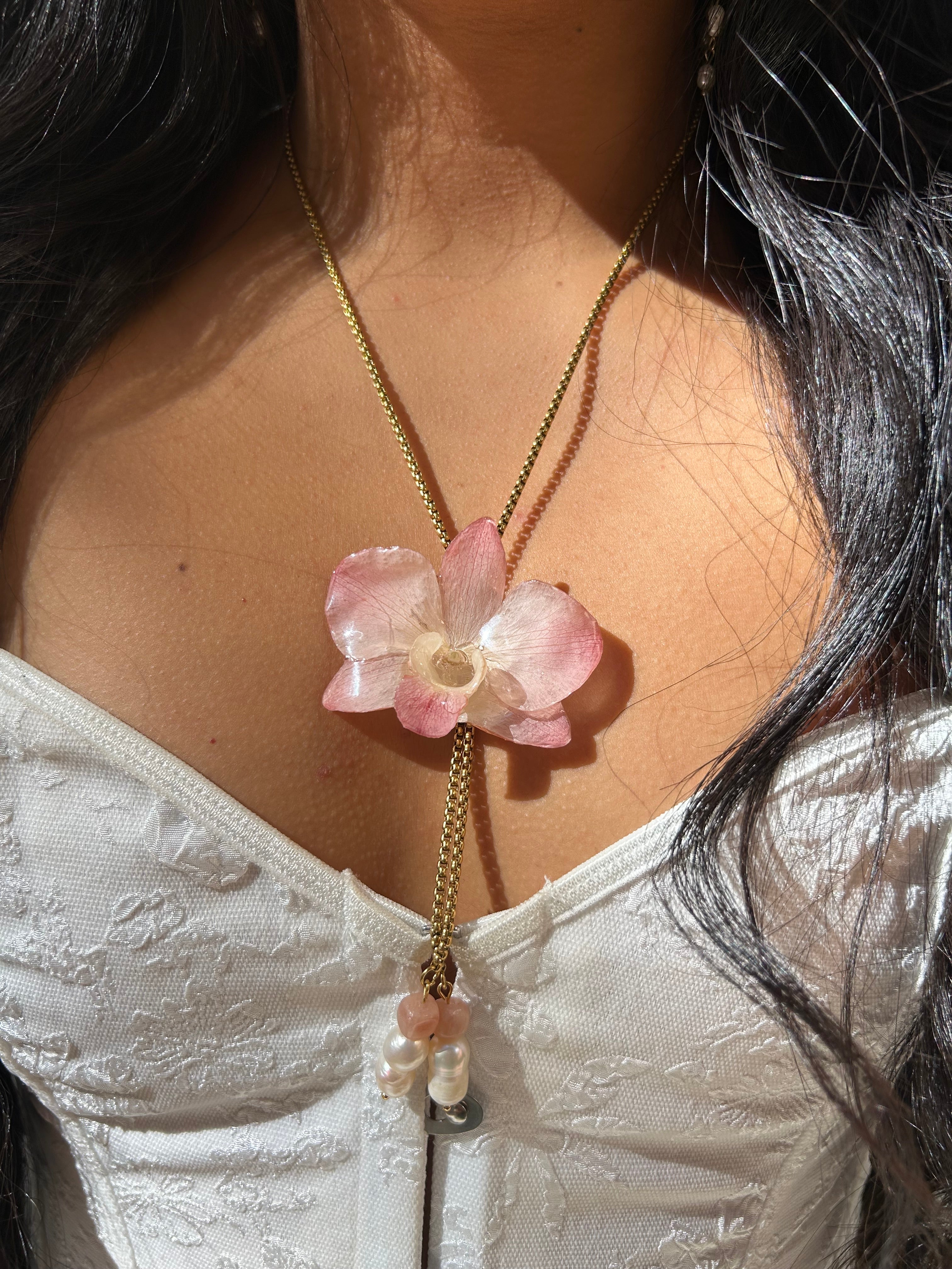 Orchid dendrobium real