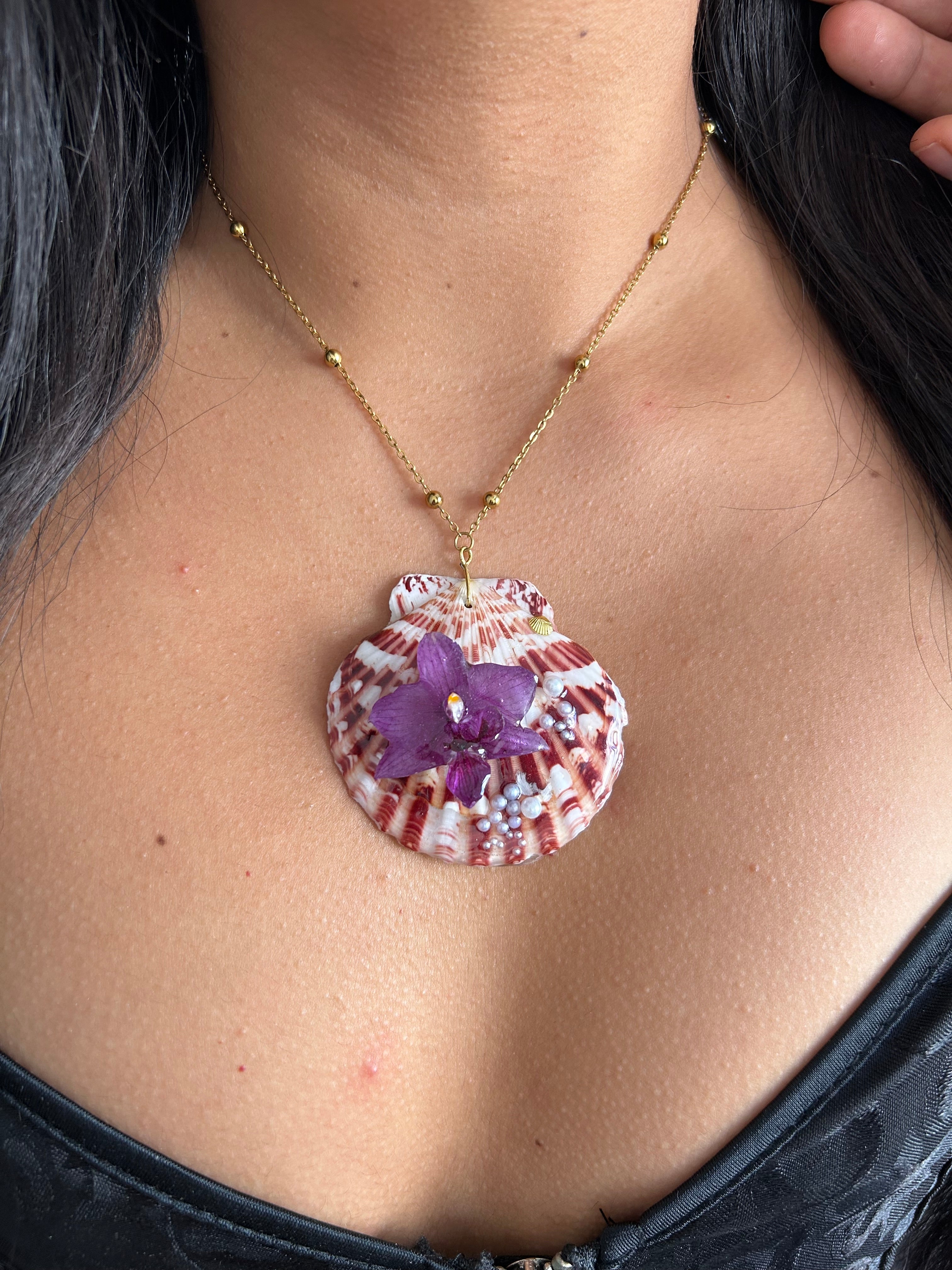 Orchid mini and shell