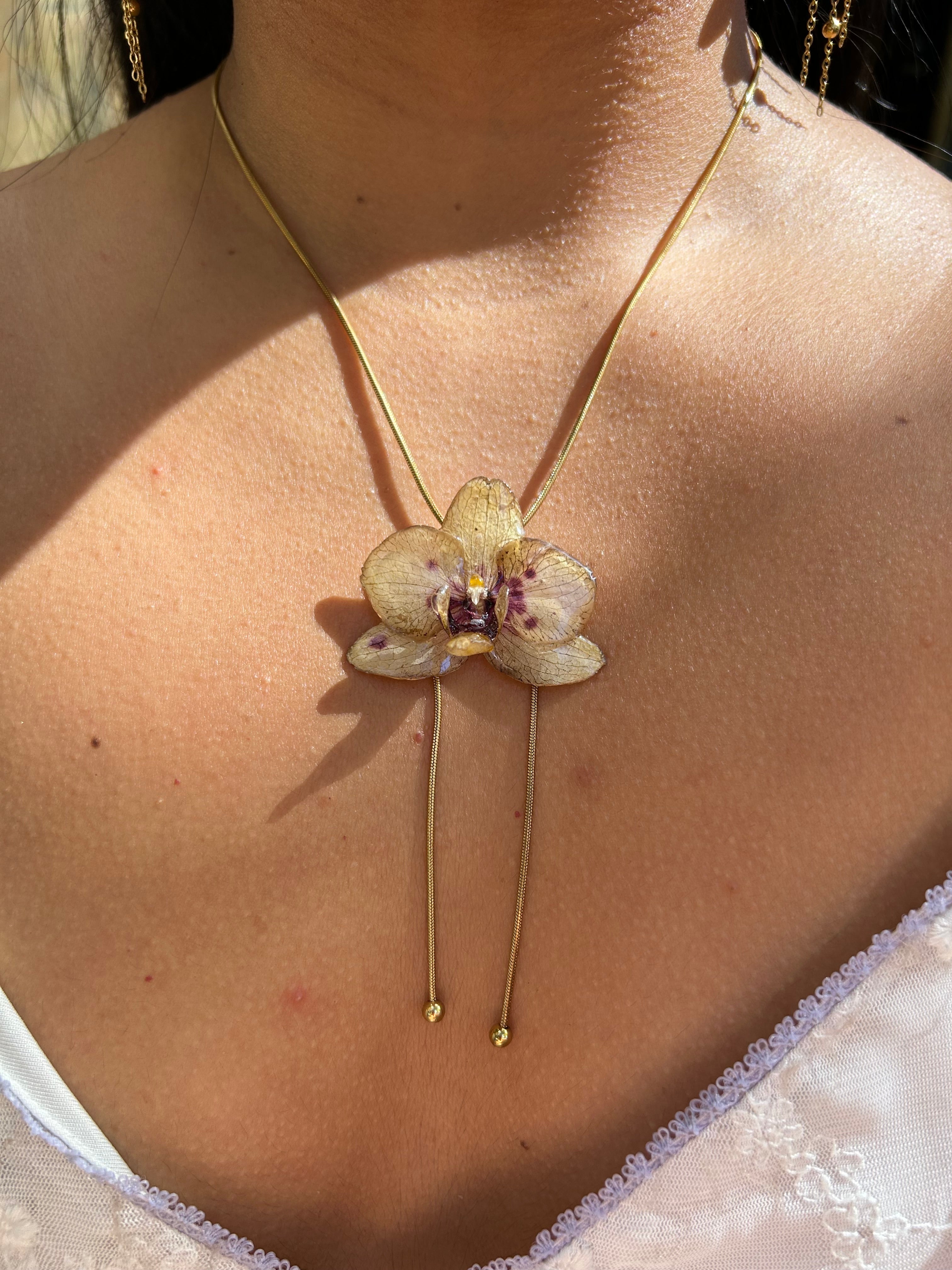 Orchid mini yellow