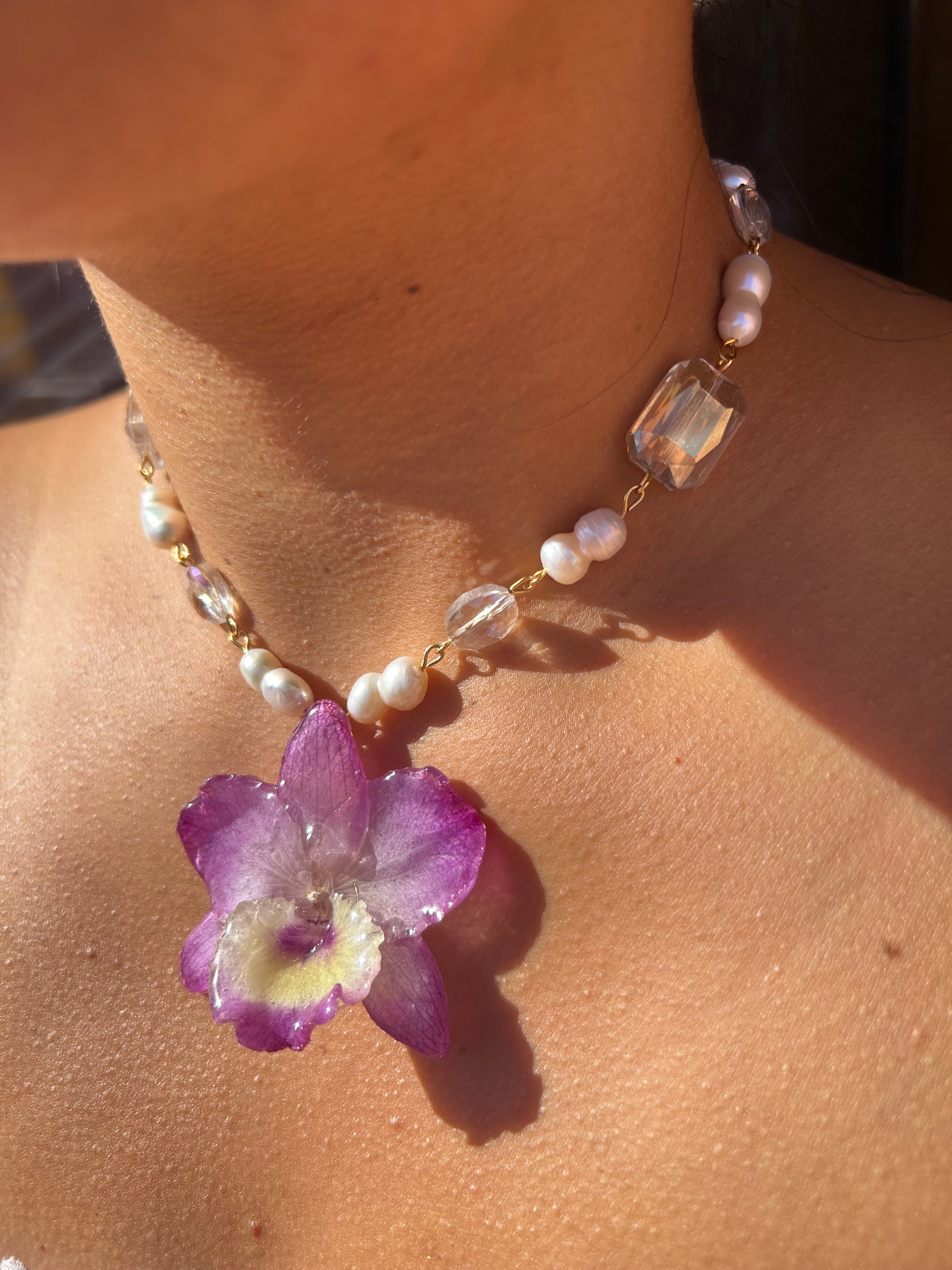 Orchid dendrobium nobile with pearls