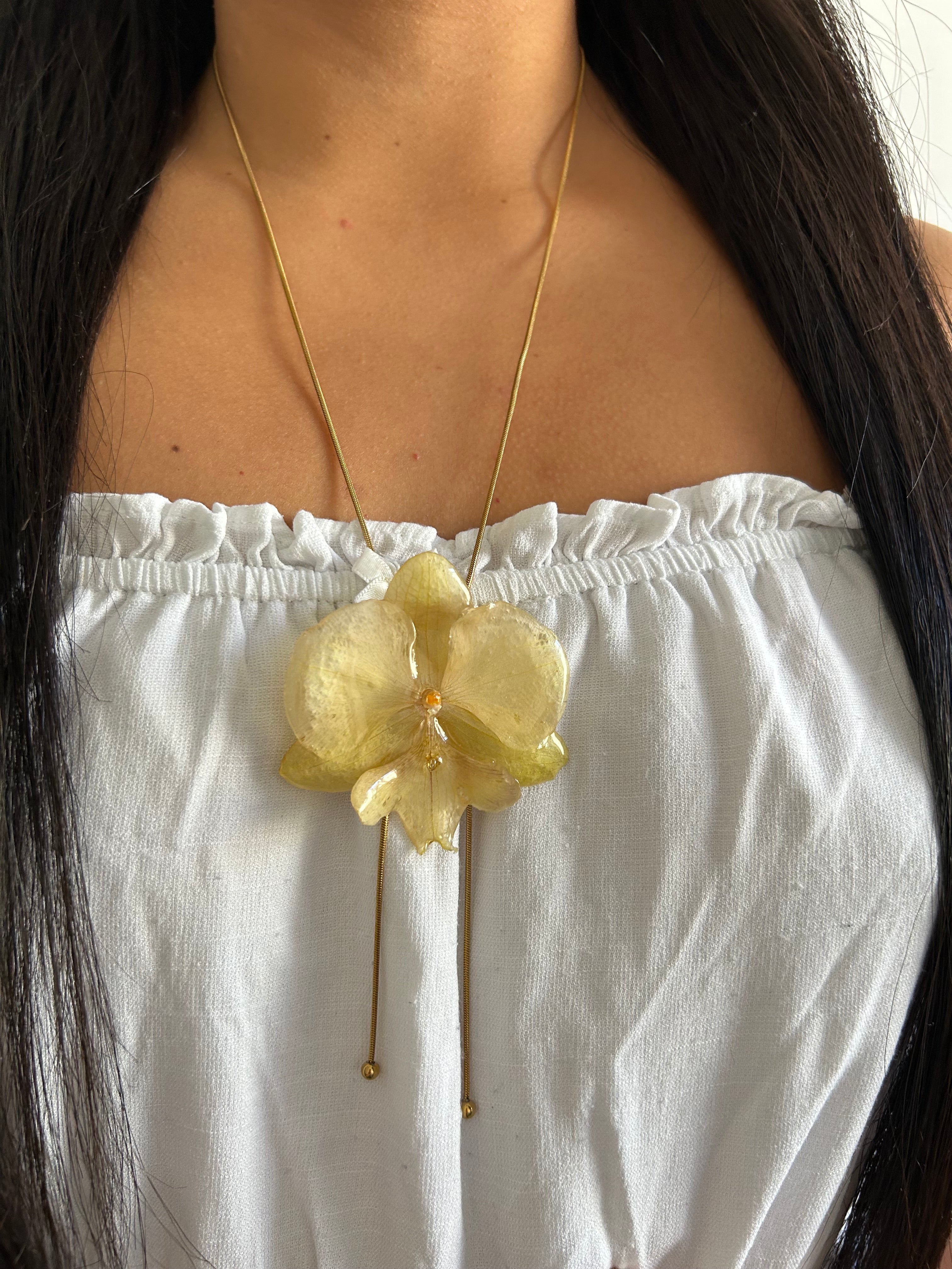 Grand orchid yellow premiun